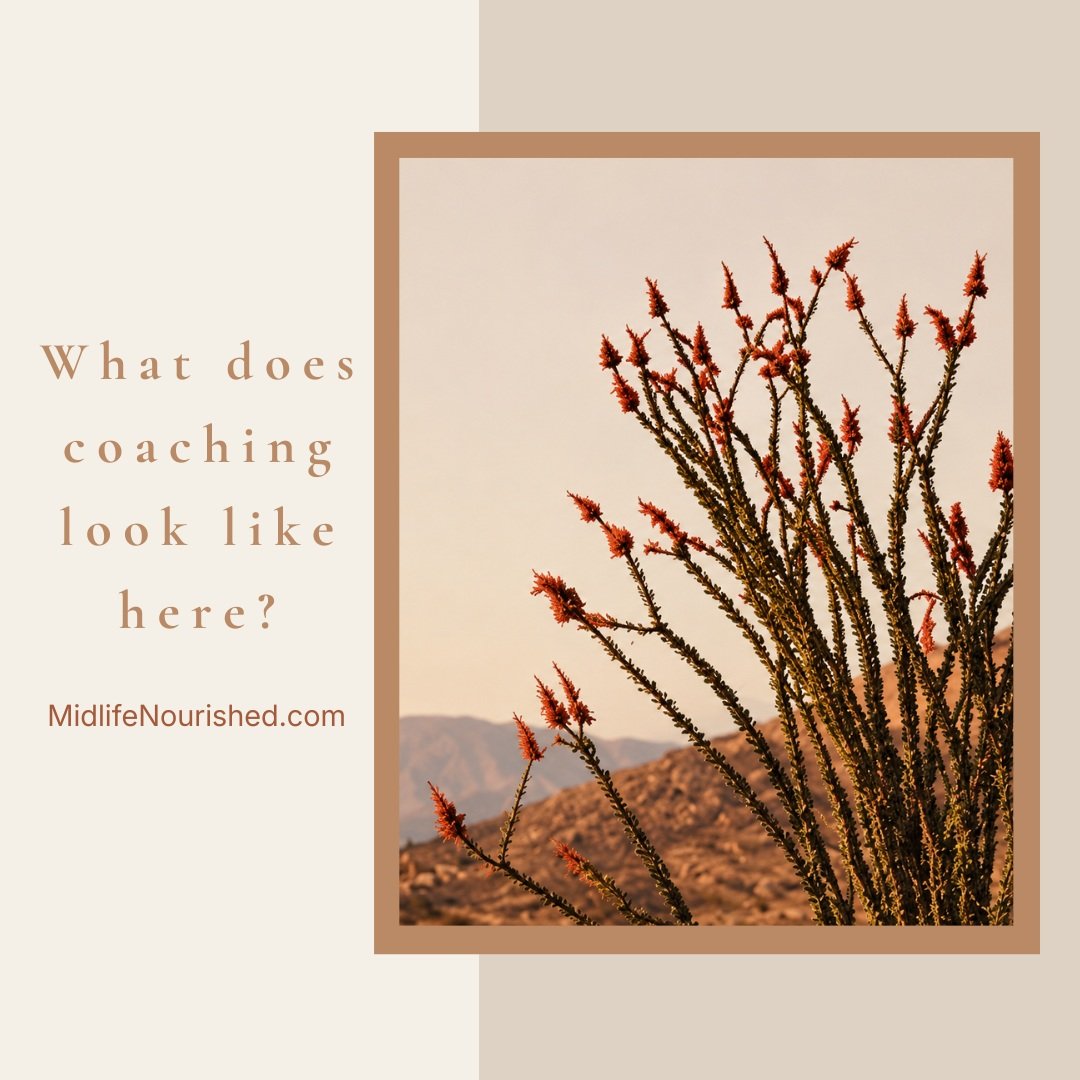 There isn't a prescribed formula for the coaching I do.

The work is shaped by you and what you're working with.

Sometimes we need to pull back and look at the larger landscape. Sometimes we need to get very practical. And sometimes it&rsquo;s usefu