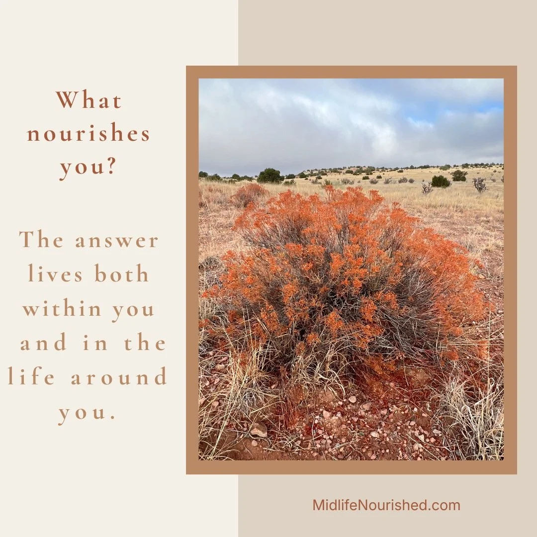 One of the ideas at the heart of Midlife Nourished is that our well-being doesn't exist separately from the rest of our lives.

There's an inner landscape&mdash;and an outer one.

We can work on our mindset, nervous system, health practices, or self-