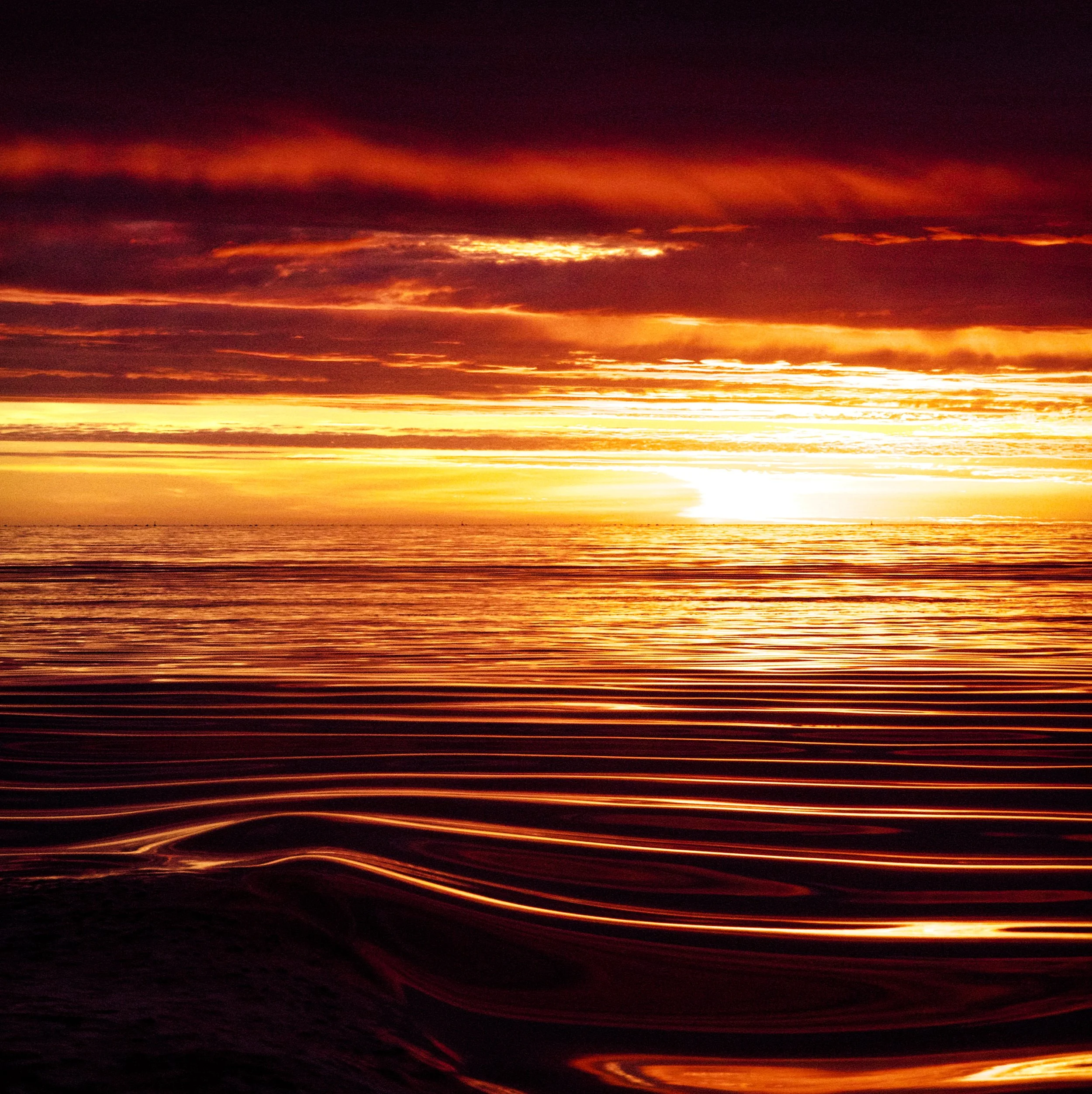 sunrise oil.jpg