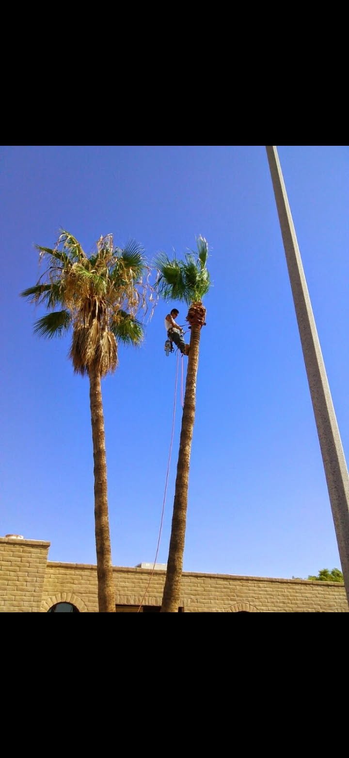 image000006.jpg.jpeg