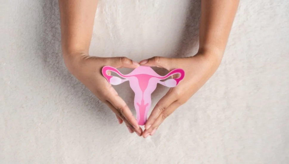 pelvic floor therapy for gynecologic cancer