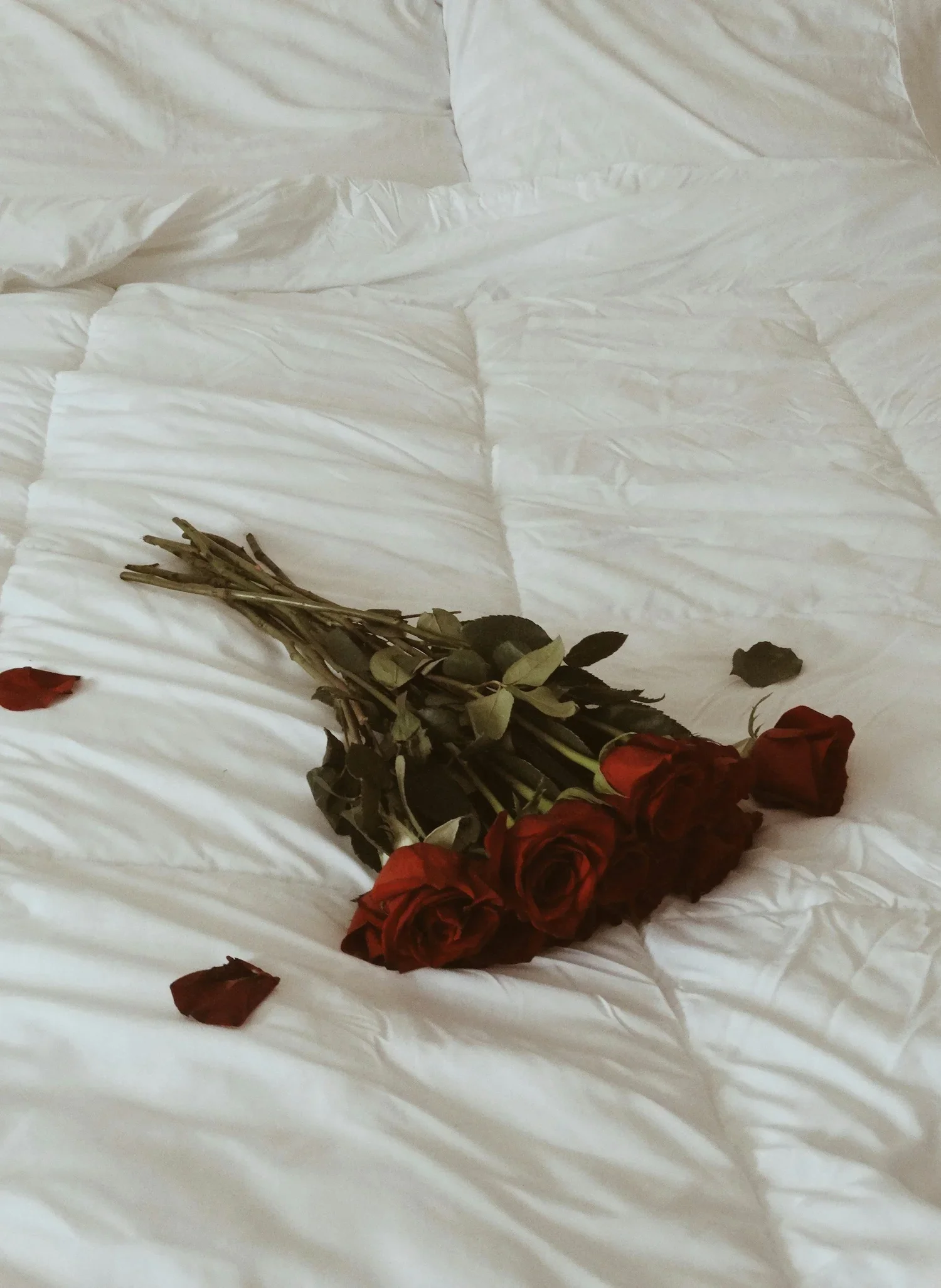 A Pelvic Floor Therapist’s Guide For Navigating Intimacy Without Anxiety