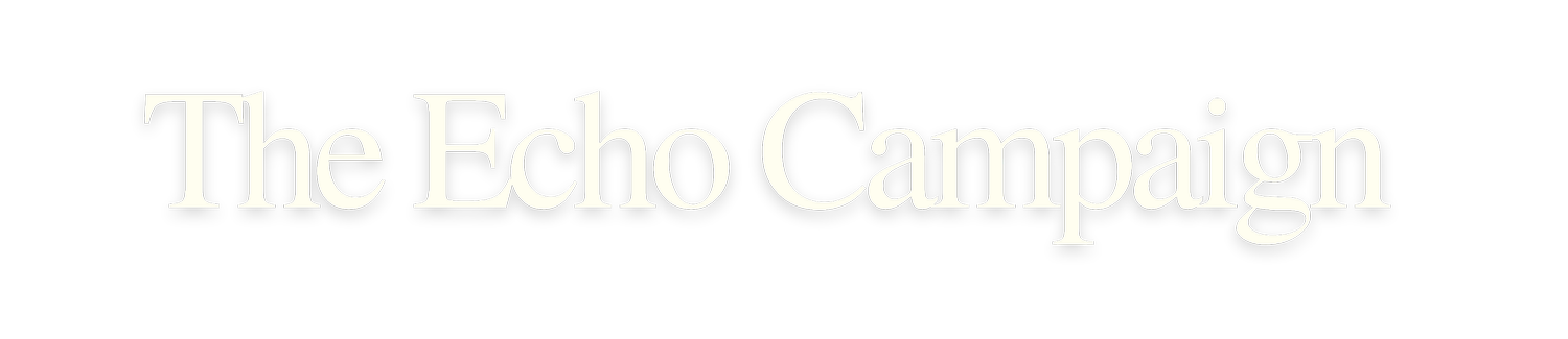 The Echo Campaign