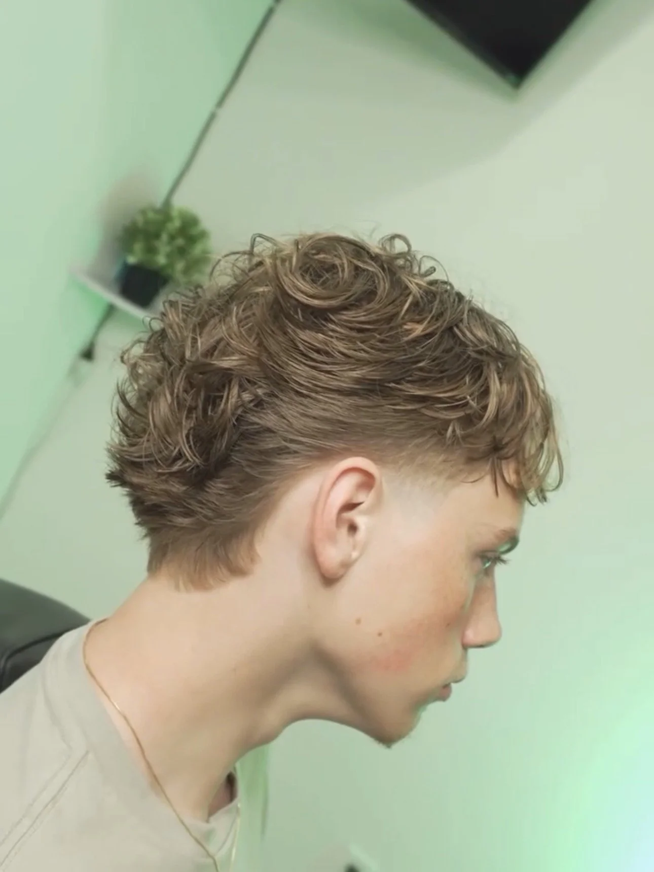Profile photo of a young man with short, curly, light brown hair, wearing a beige shirt, against a light green background with a small potted plant and a television visible.
