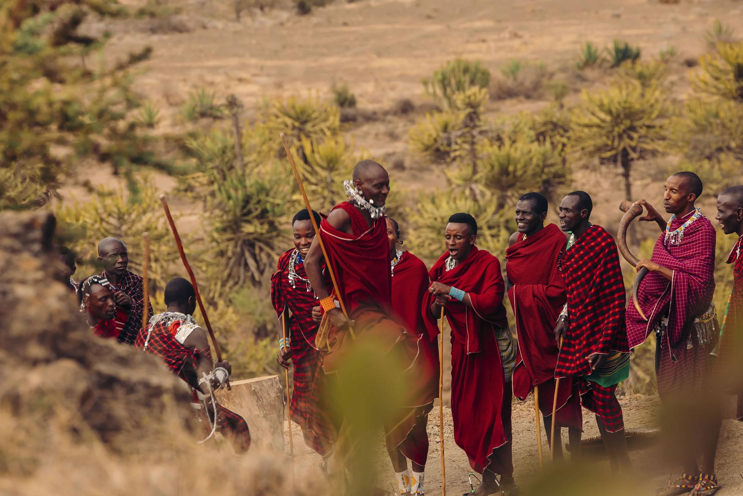 A group of Maasai people dressed in traditional red shukas, standing outdoors among trees, participating in a cultural gathering or ceremony.