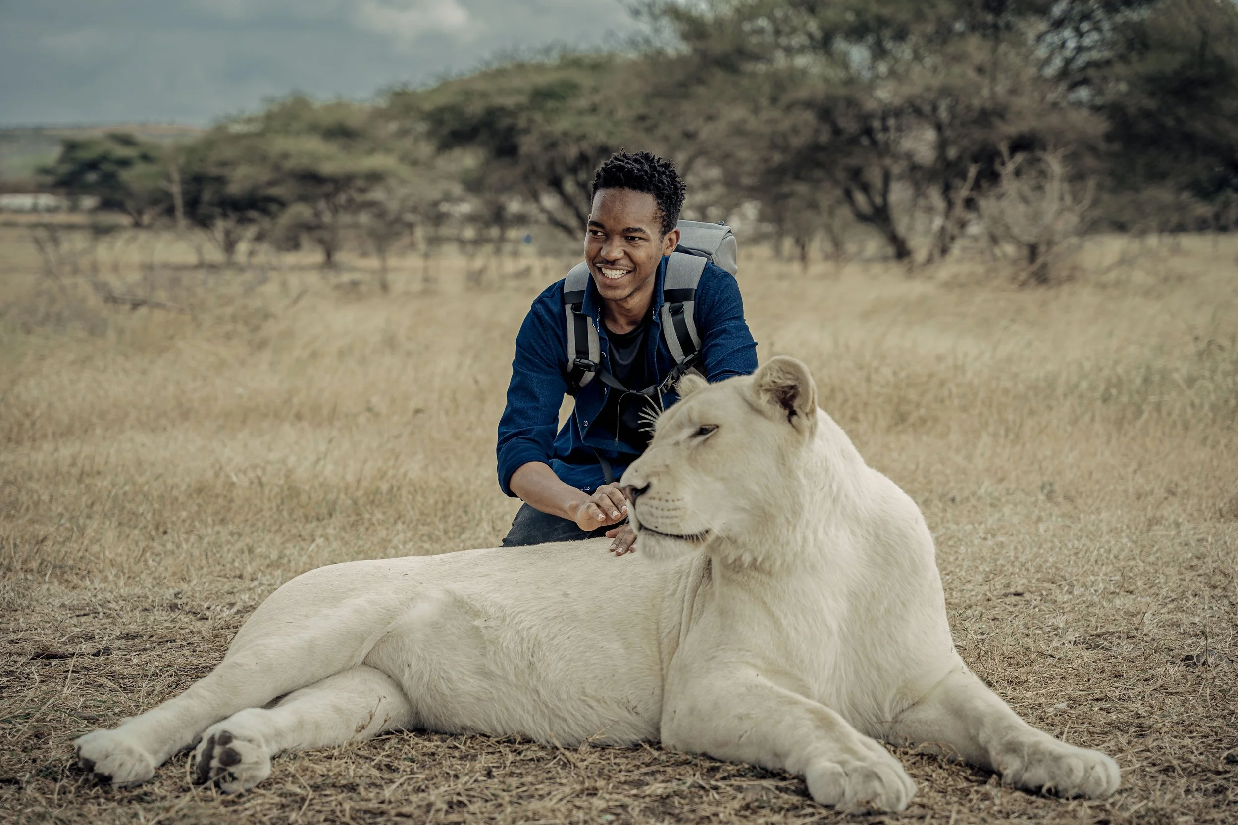 A man smiling and petting a white lion cub lying on the ground in a grassy, open field with trees in the background.