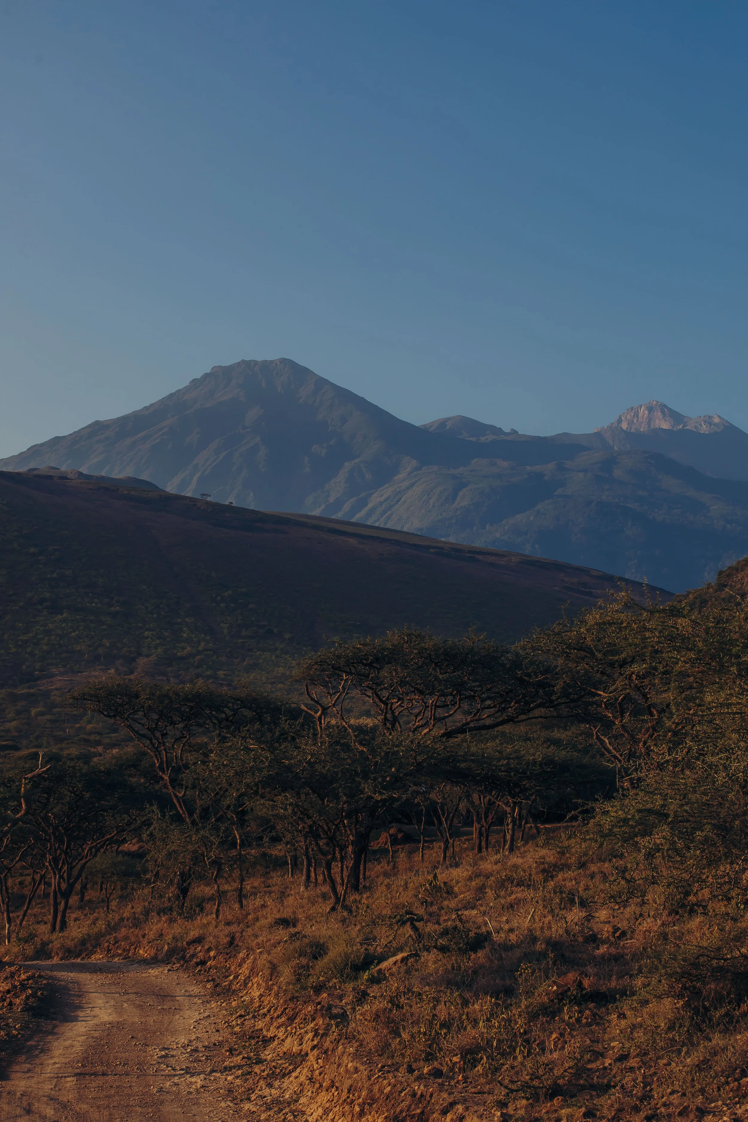 A scenic view of distant mountains under a clear blue sky, with dry trees and a dirt road in the foreground. Mount Meru