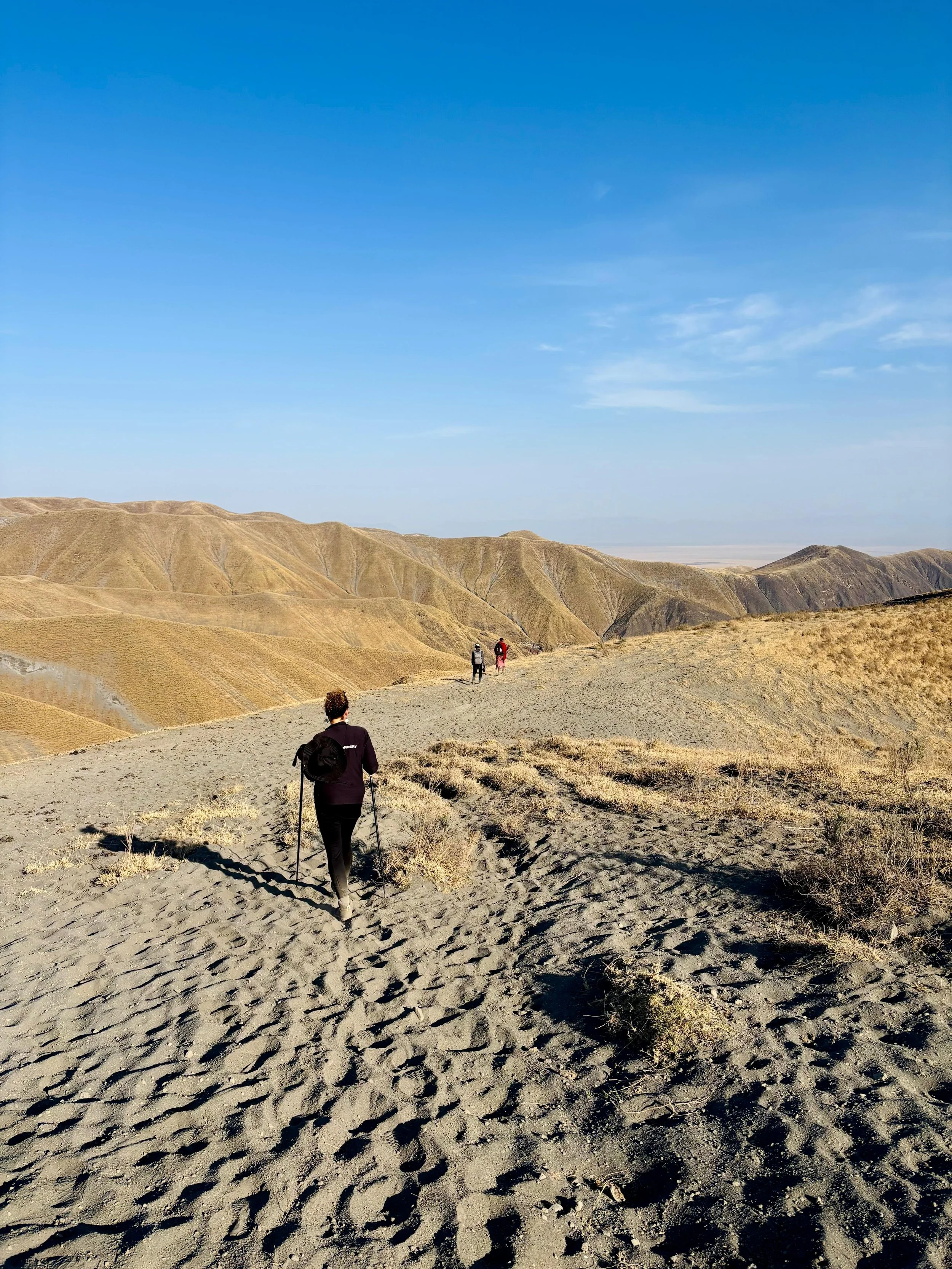 Four hikers walking along a sandy trail through a dry, rolling desert landscape under a blue sky.