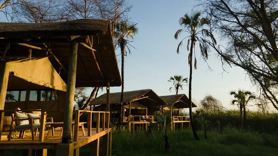 Sunset view of rustic wooden cabins with palm trees and green grass surrounding them. Kisima Ngeda Camp