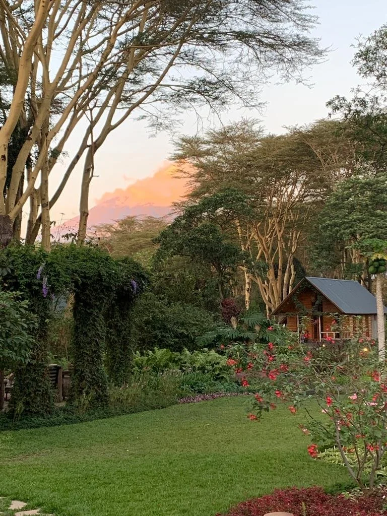 A lush garden with green grass, flowering bushes, and tall trees with sparse branches, featuring a small cabin with a sloped roof in the background, under a sky with early evening pink and orange hues.