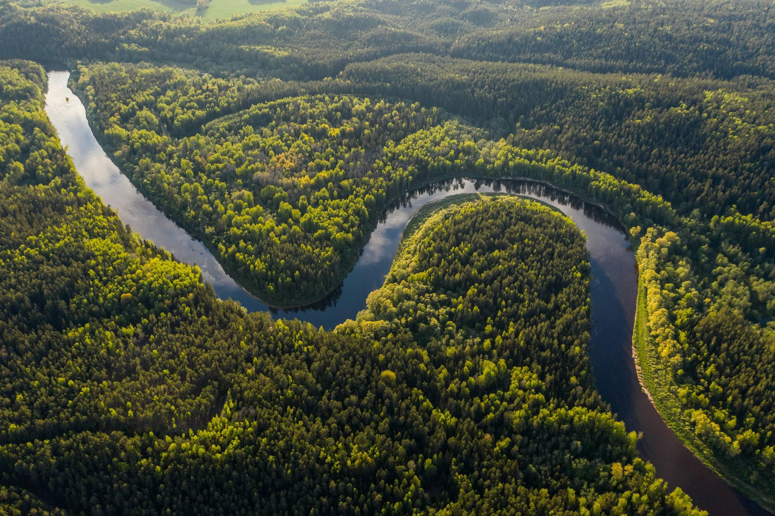 An aerial view of a winding river flowing through a dense forest with lush green trees, hills, and fields in the background.