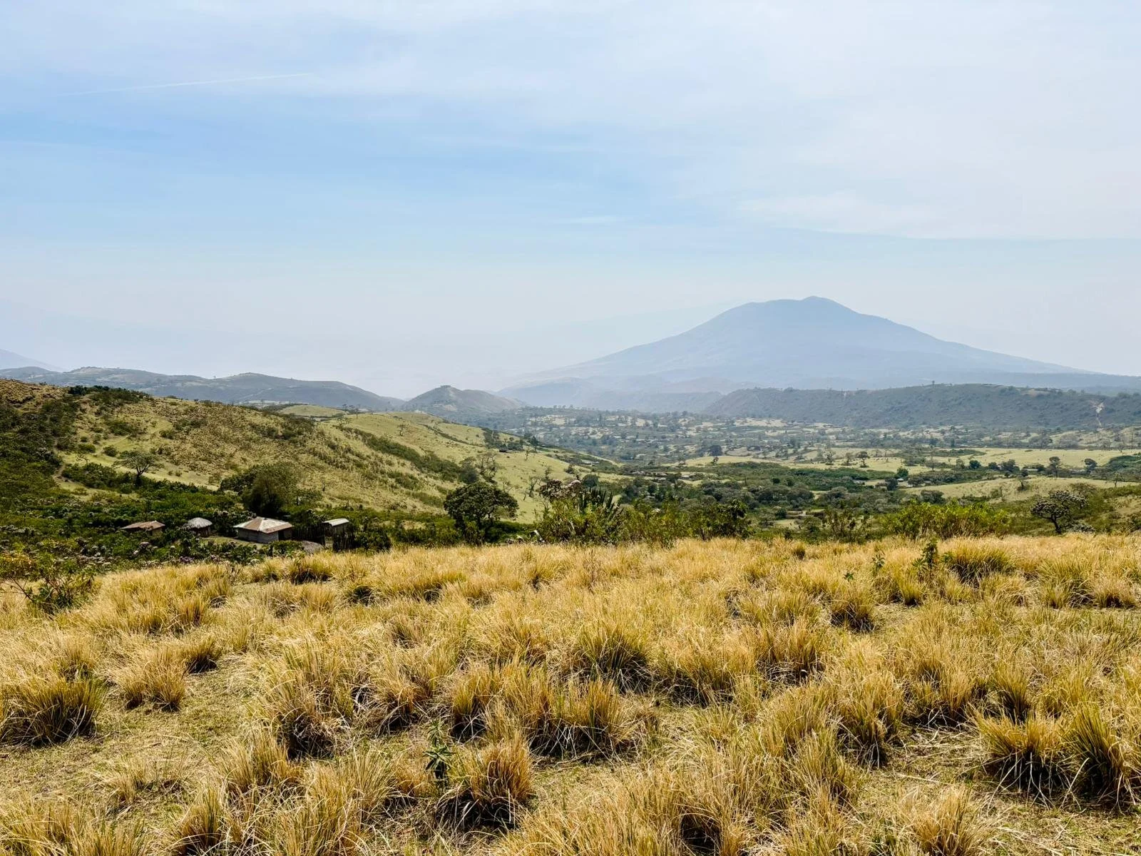 A landscape of Ngorongoro Highlands with grassy fields, rolling hills, sparse trees, and distant mountains under a partly cloudy sky.