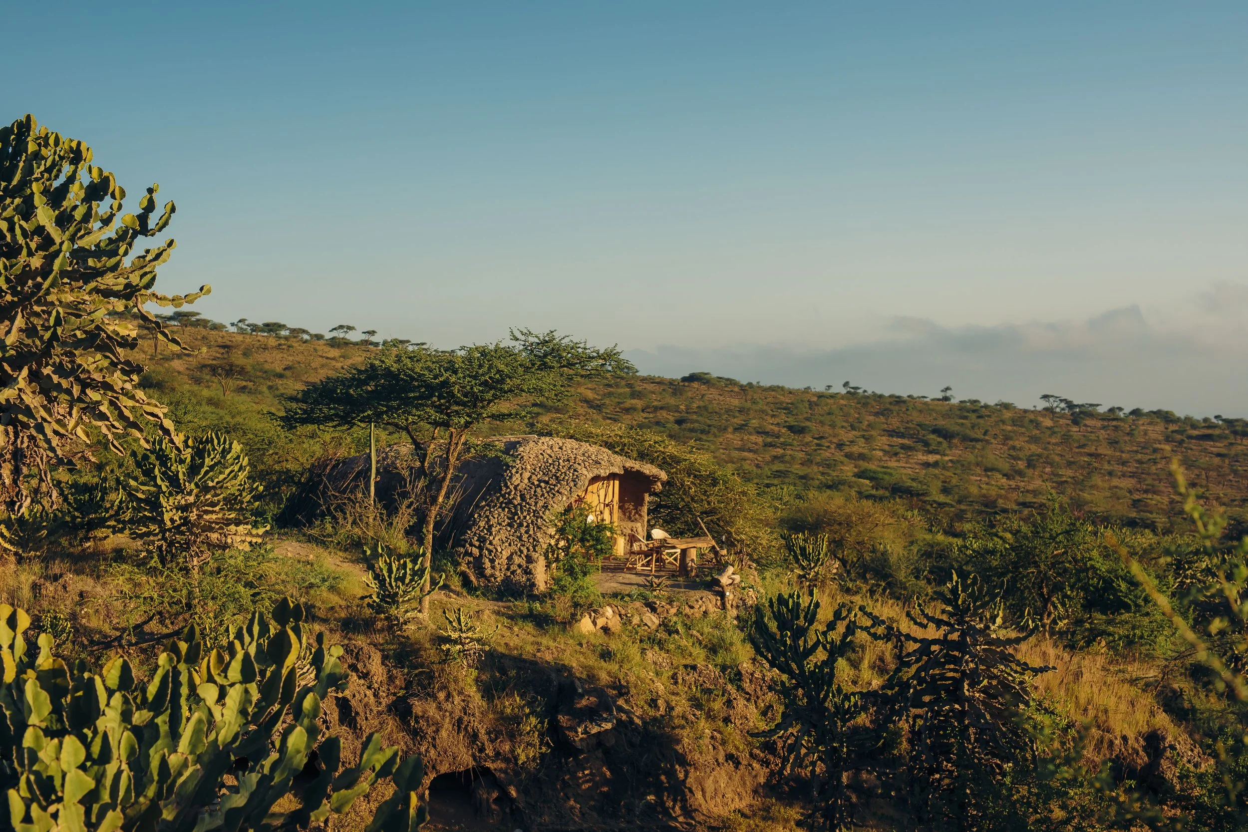 A rural landscape with a small thatched hut surrounded by cacti and green plants, set against rolling hills with scattered trees under a clear blue sky.