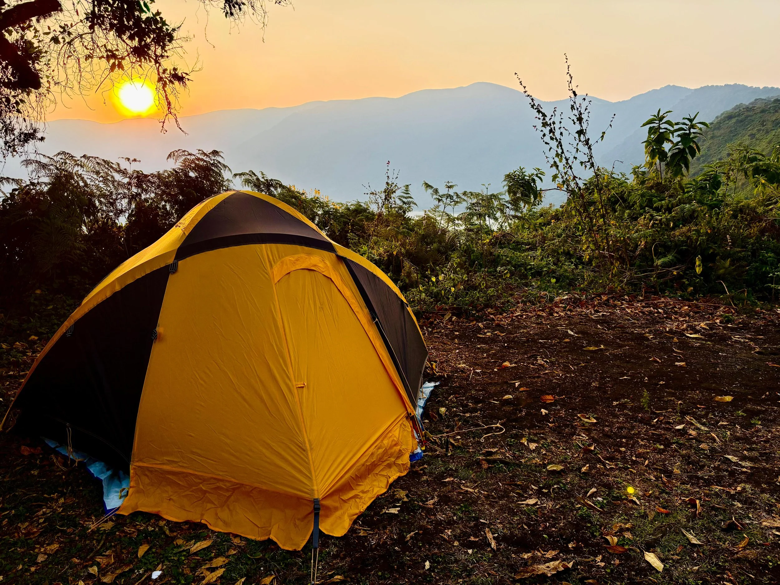 A yellow and black tent set up in a wooded area during sunset, with mountains in the background and foliage in the foreground.