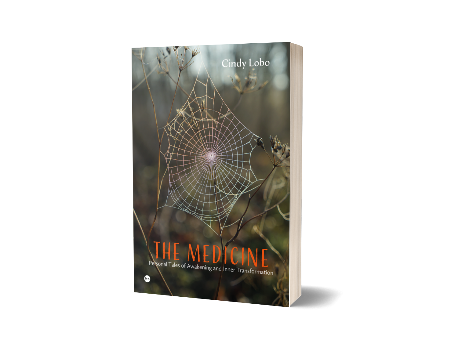 A book cover titled 'The Medicine' by Cindy Lobo featuring a close-up photograph of a spiderweb among dry plants with a blurred natural background.