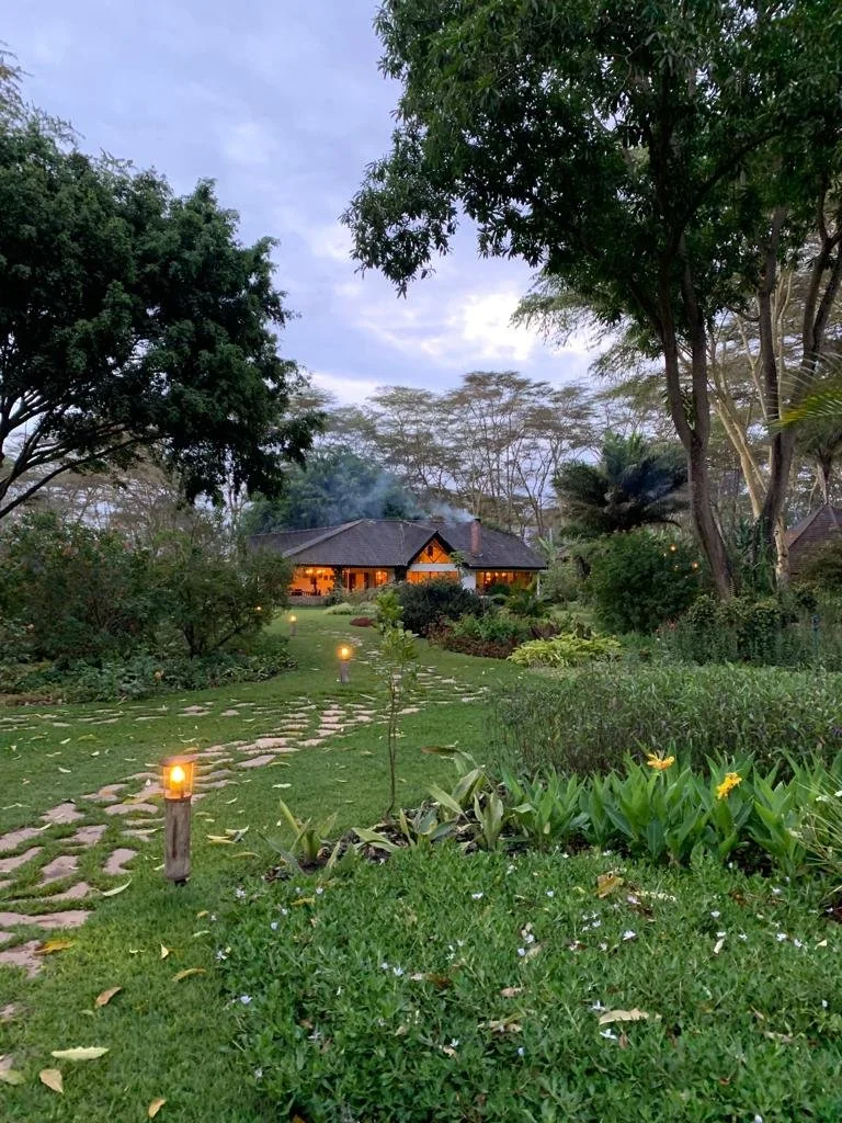 A peaceful garden yard with a stone pathway and small lamp posts, leading to a house with warm lights in a lush landscape with trees.