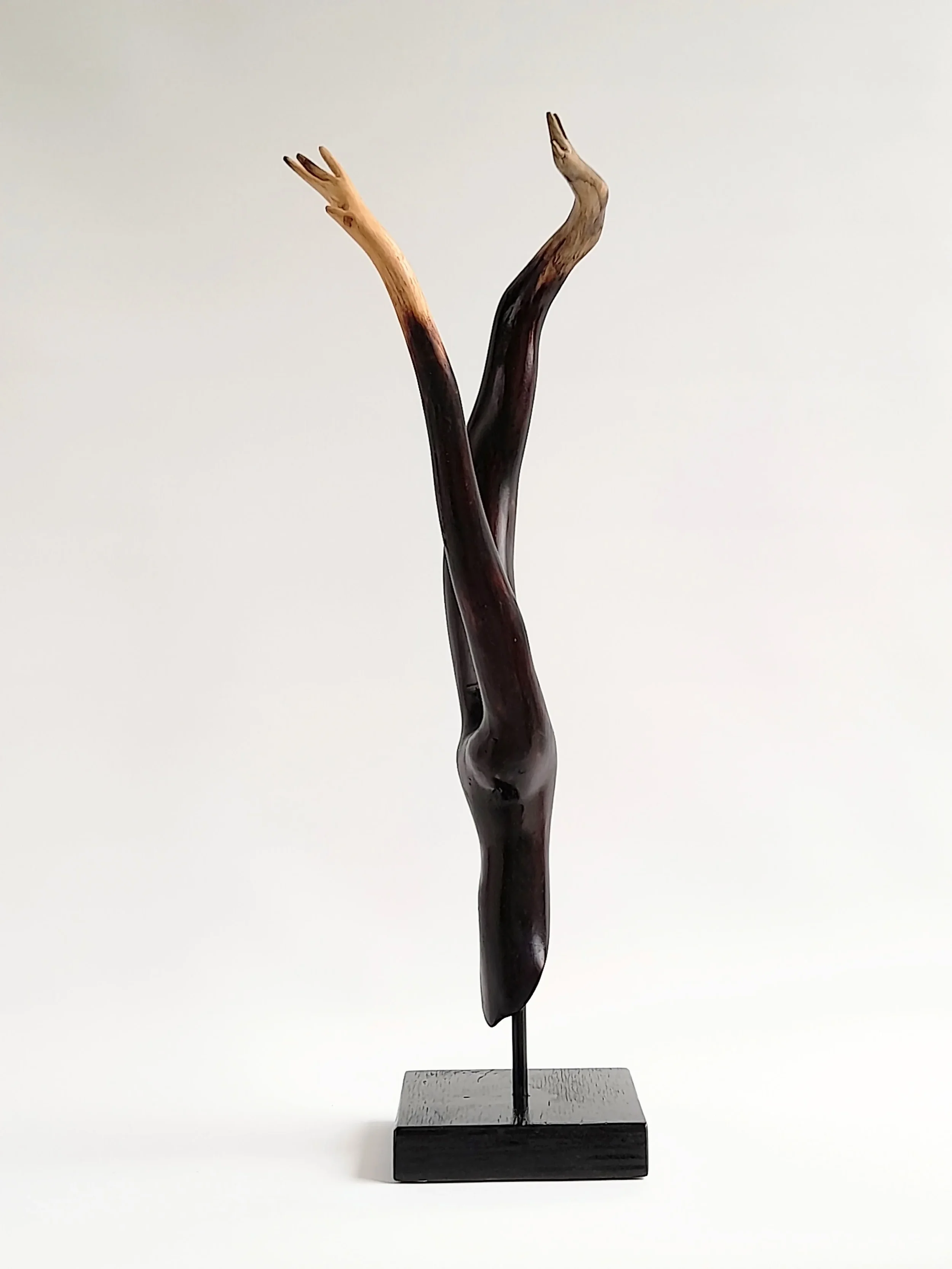 Minimalist charred Illawarra Flame Tree wood sculpture reaching upward on a black stand titled Reaching Through.