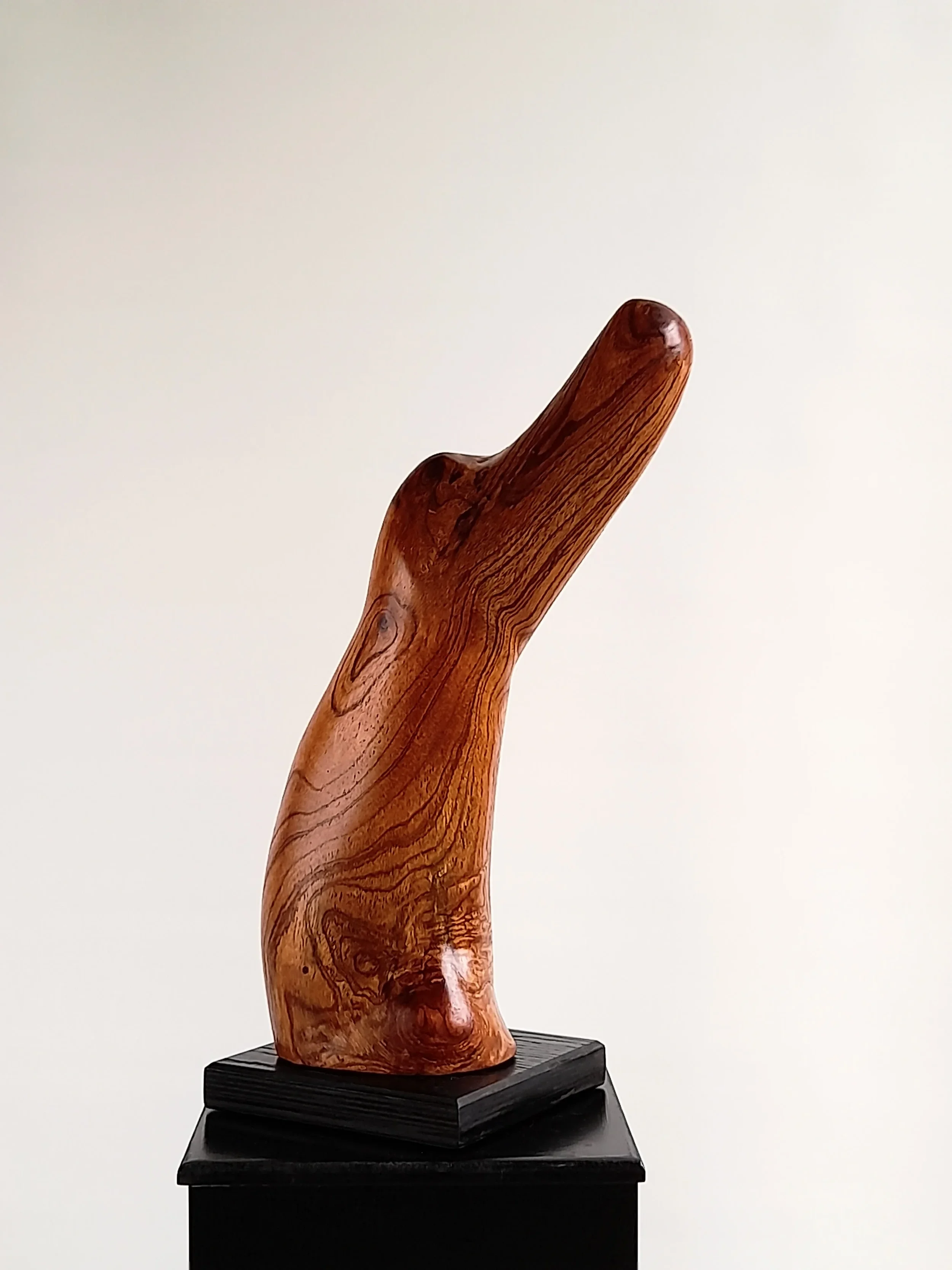 Fluid hand-carved Australian Red Cedar animal sculpture on a black pedestal titled Vigilant.