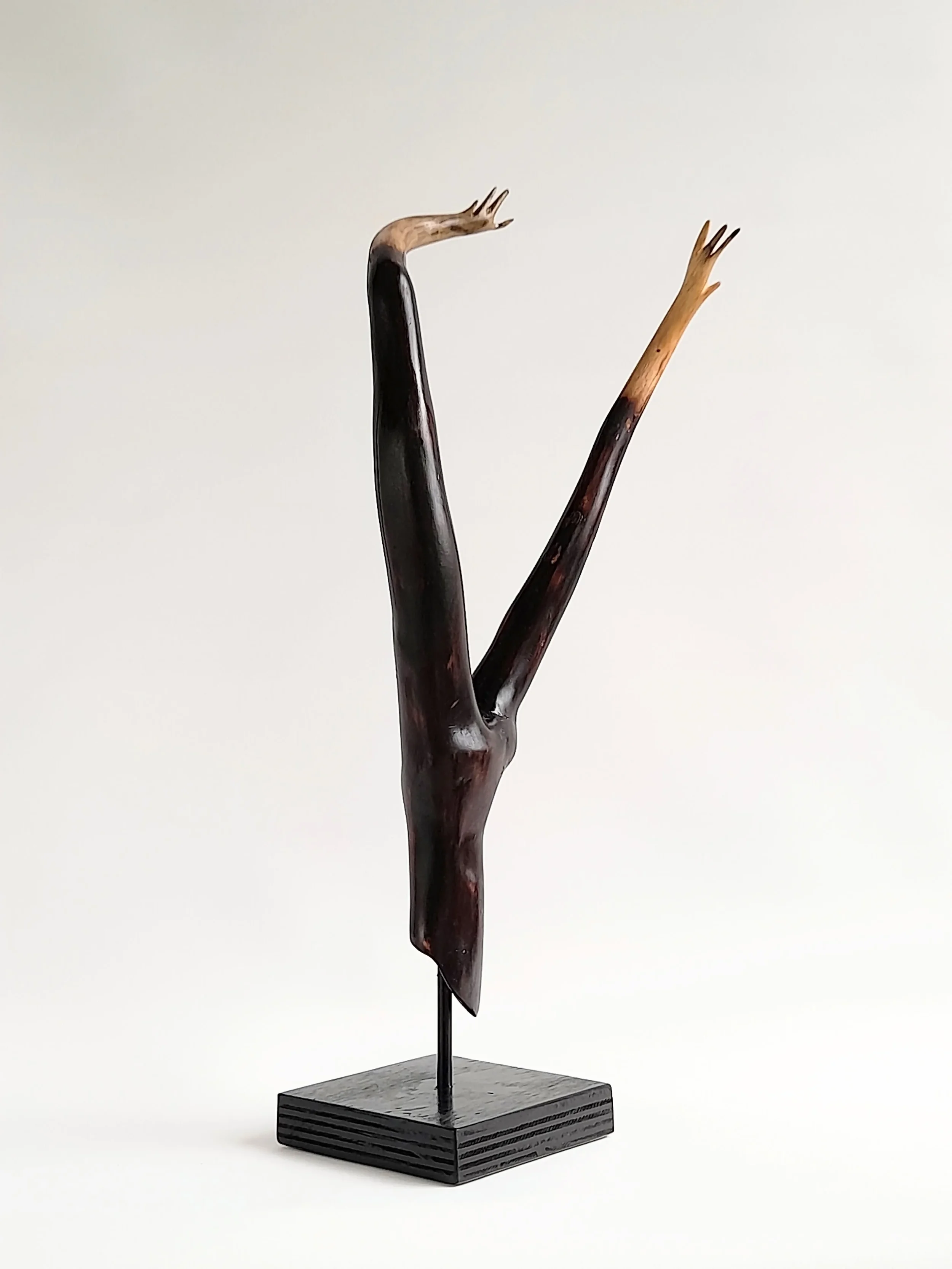 Minimalist charred Illawarra Flame Tree wood sculpture reaching upward on a black stand titled Reaching Through.