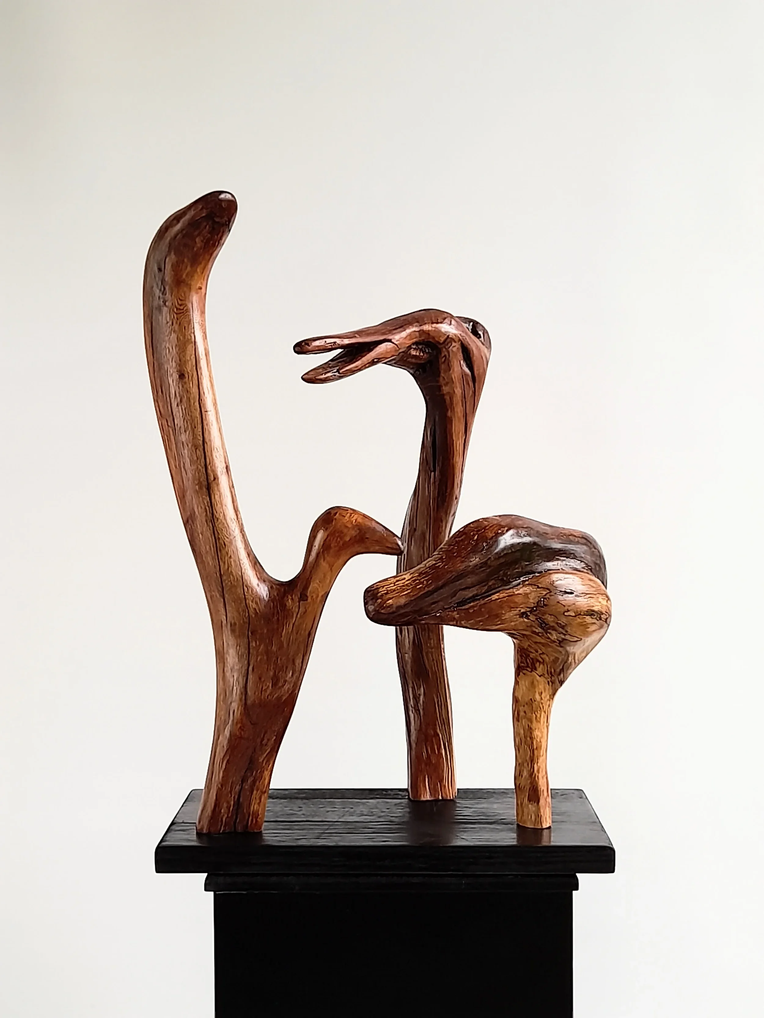 Group of three distinct hand-carved wood bird sculptures on a single black pedestal titled Harmonious Diversity.