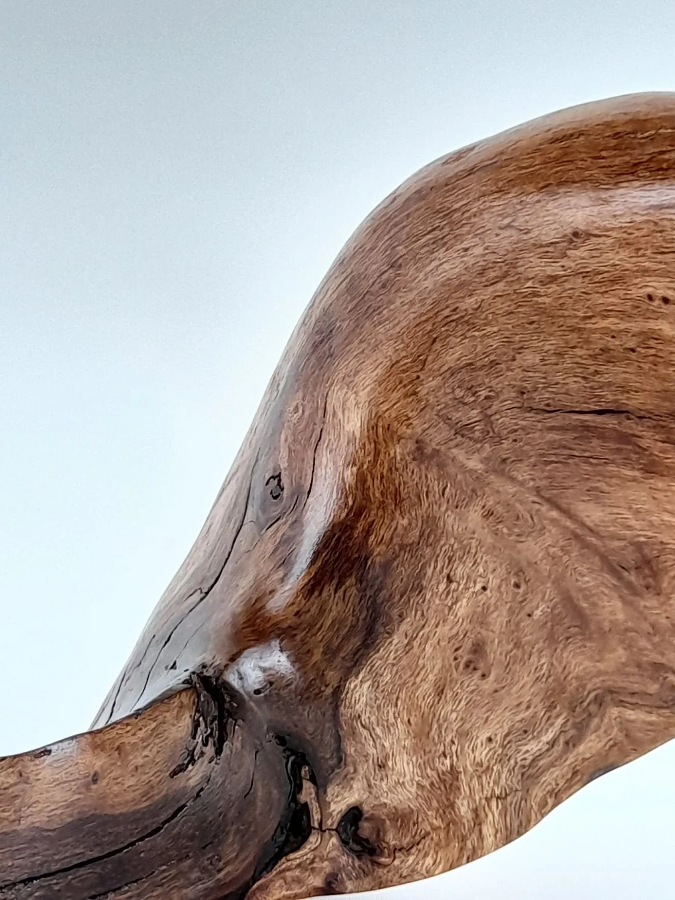 Close-up detail of Reclining Peace sculpture highlighting the finely hand-sanded surface, soft contours, and natural wood grain.