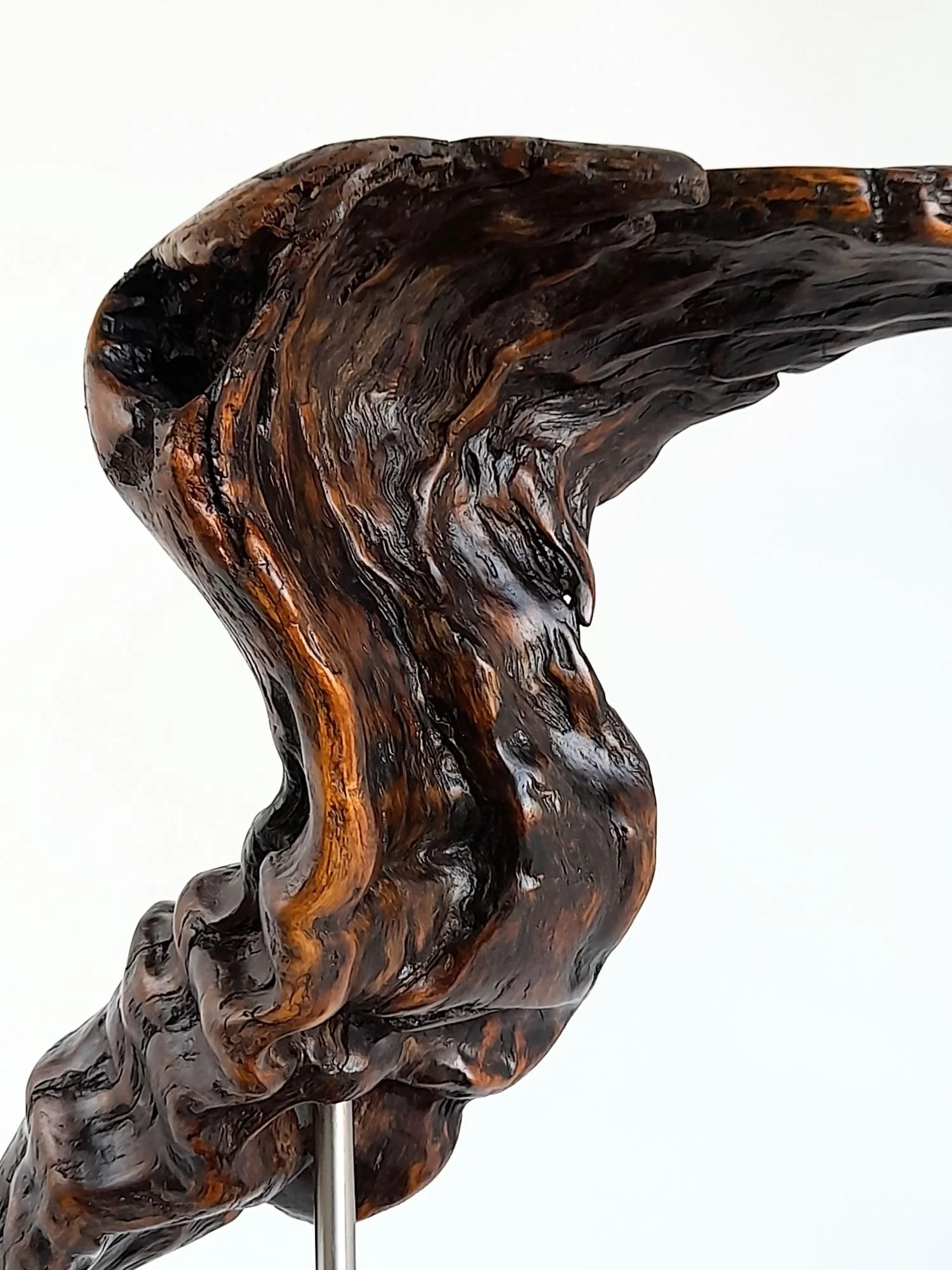 Close-up photo of Duck Out of Water sculpture highlighting the smooth carved beak, soft body contours, and warm wood grain finish.