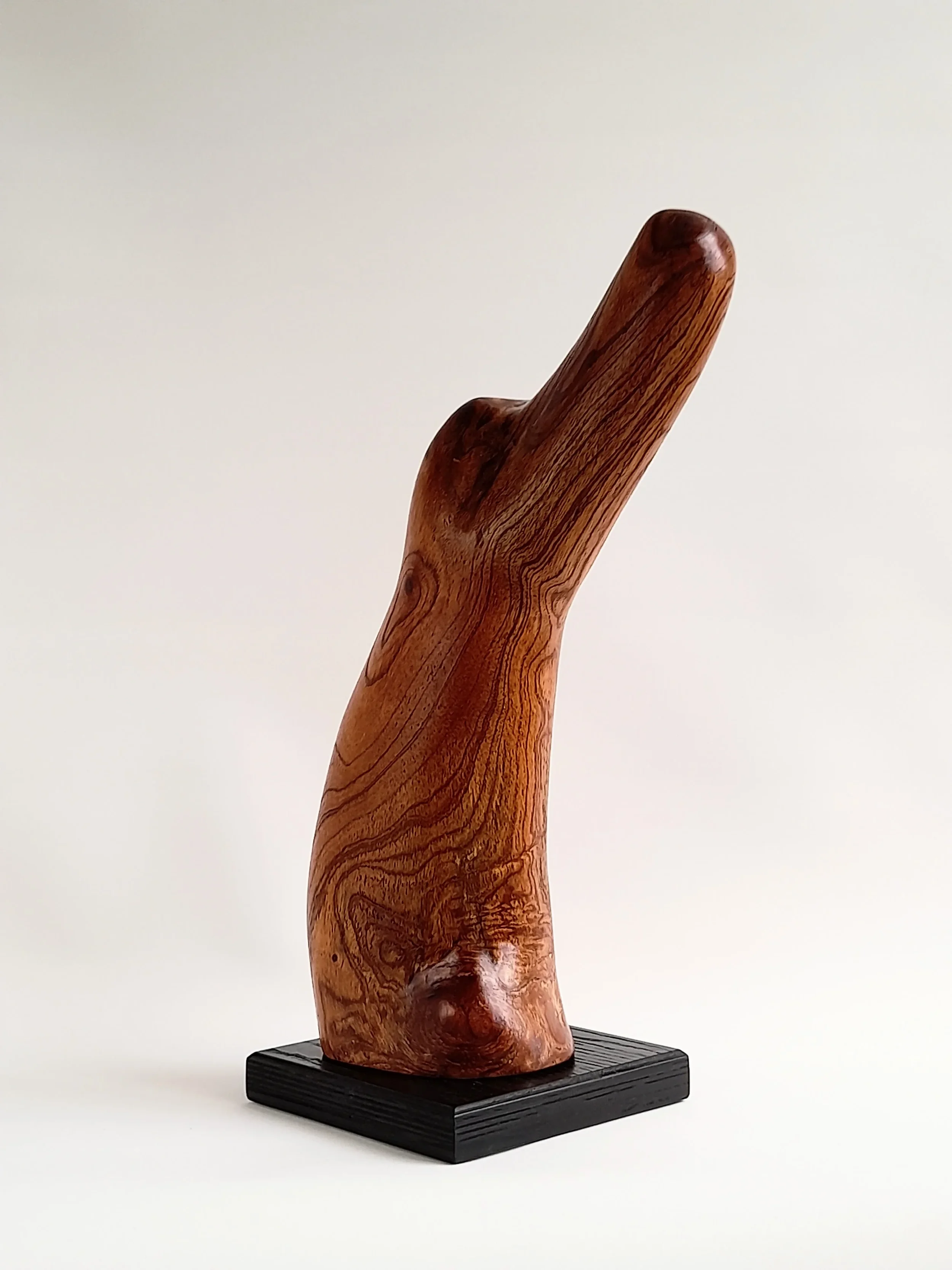 Fluid organic hand-carved Australian Red Cedar animal sculpture on a black pedestal titled Vigilant.