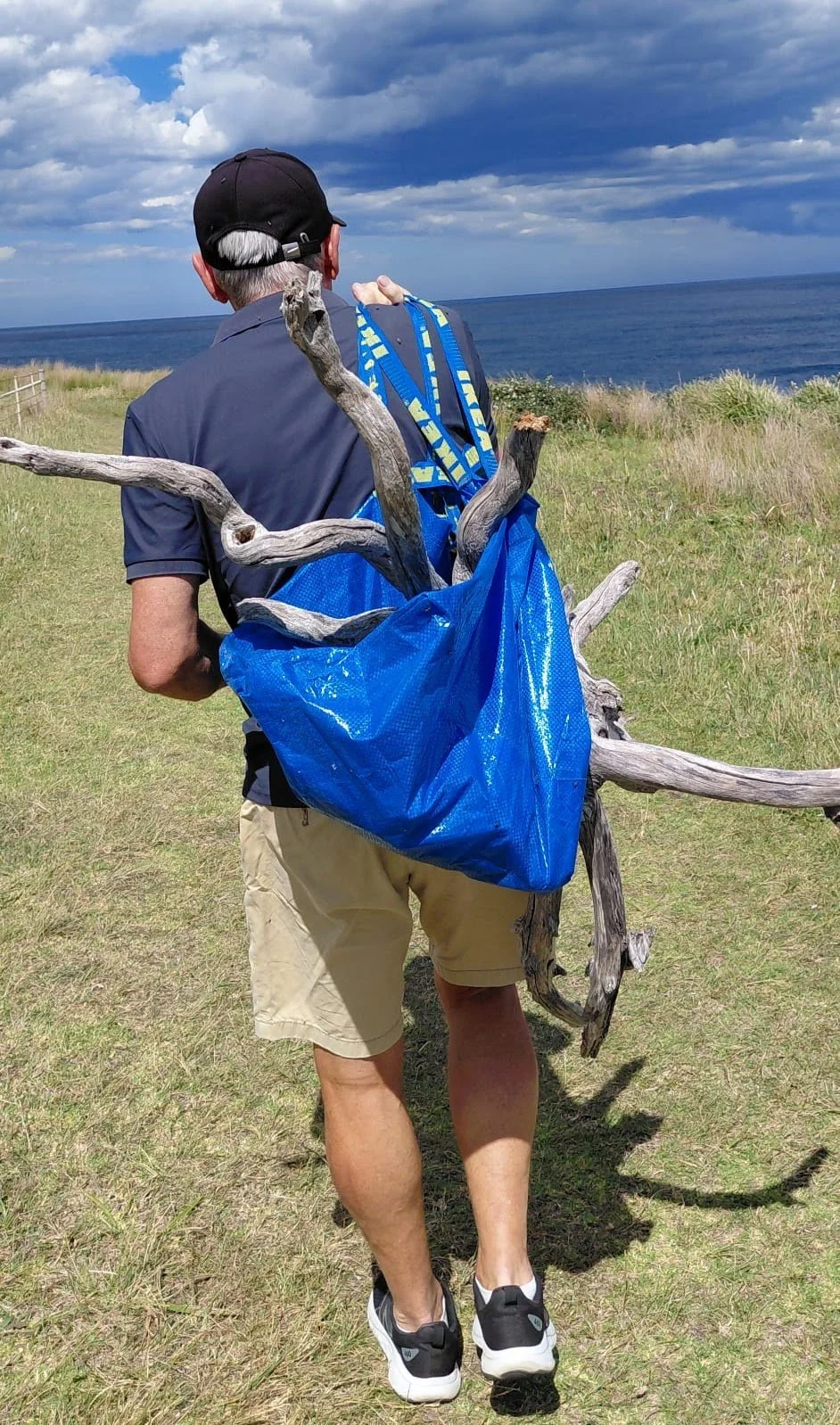 Wood sculptor carrying weathered timber along NSW coast