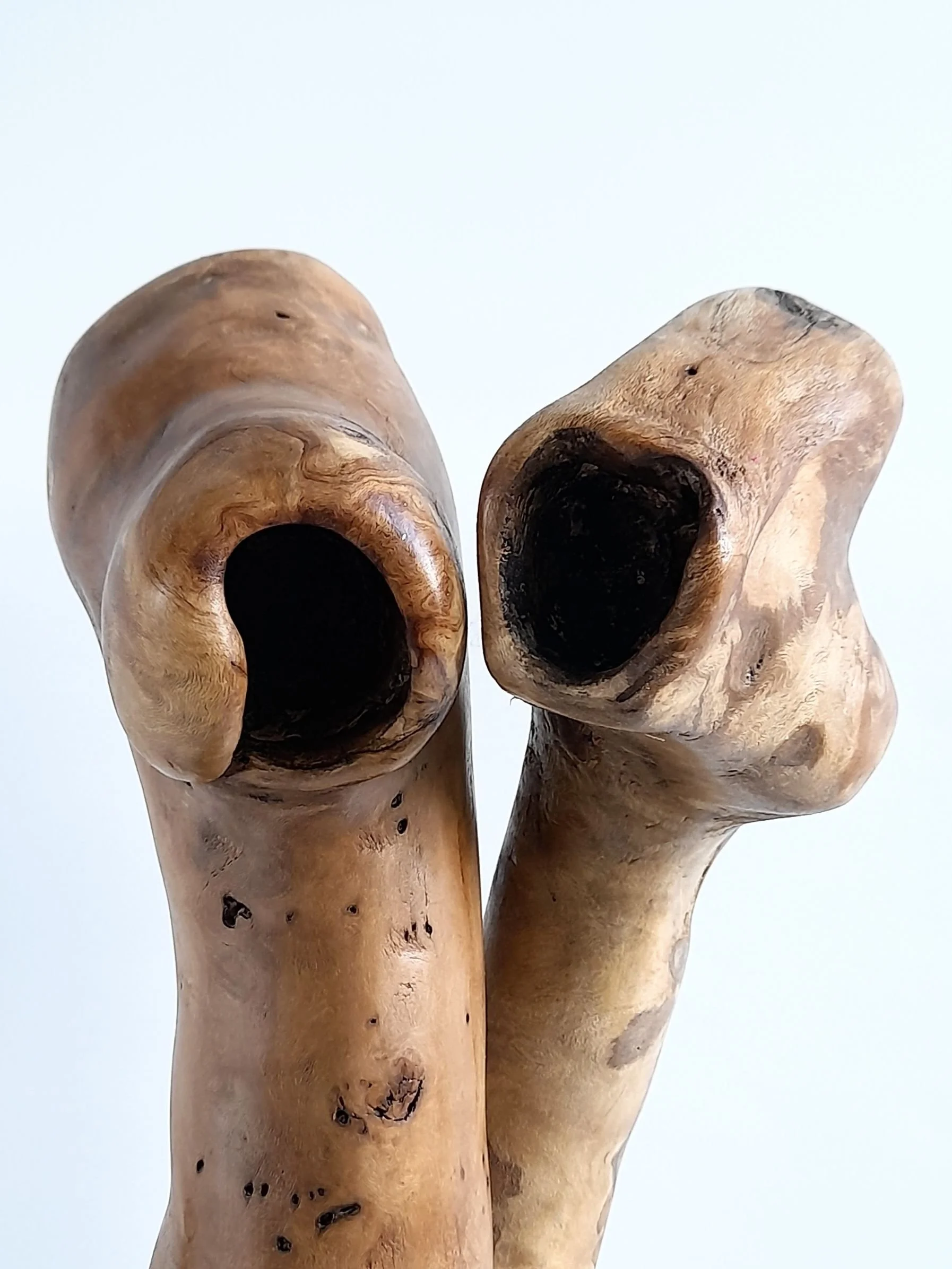 Detail of hollows and natural grain in timber sculpture Bound as One