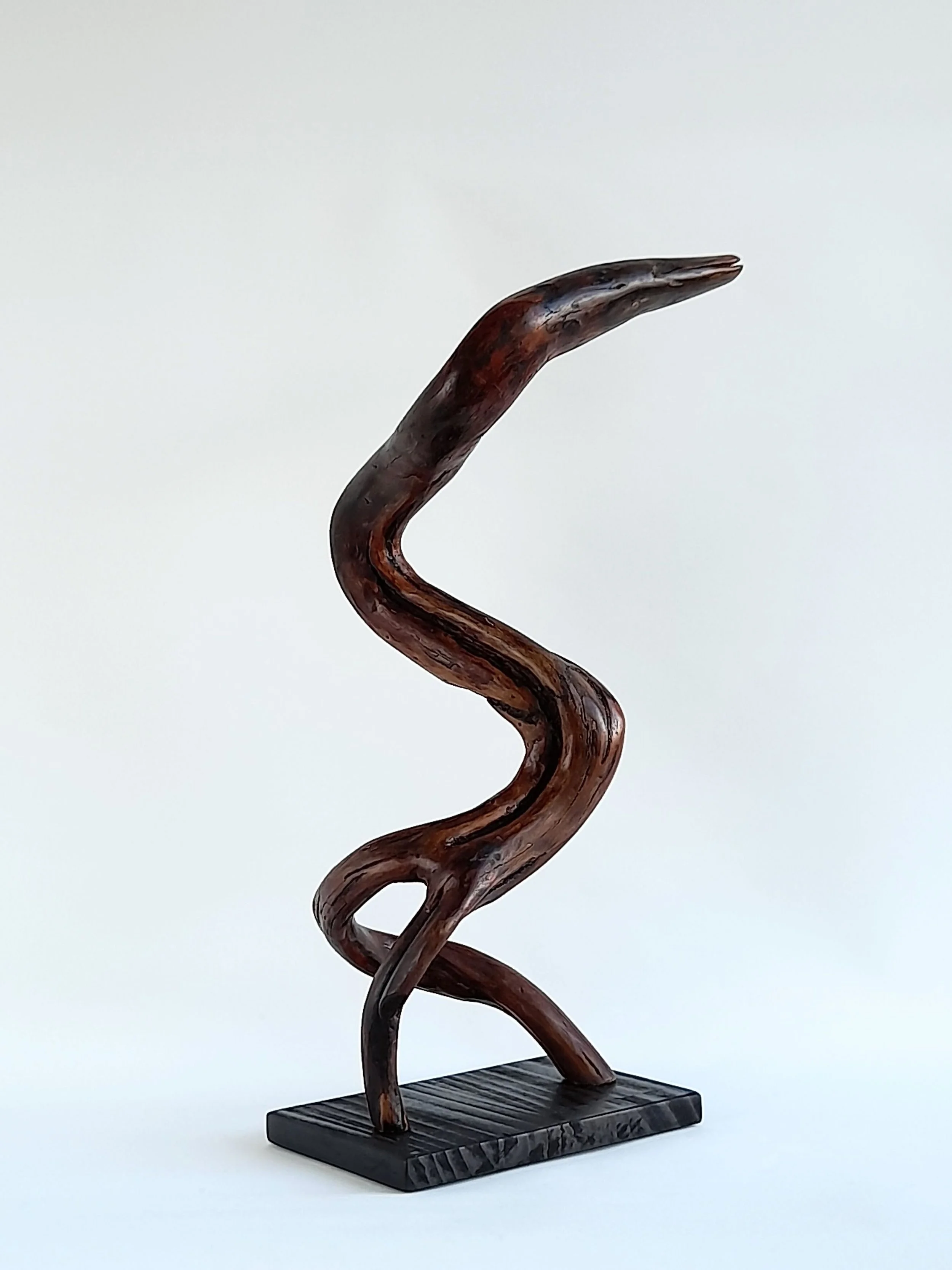 and-carved Blackwood bird sculpture titled Firebird by Ole Jensen, featuring deep brown timber with black bushfire veins on a dark base.