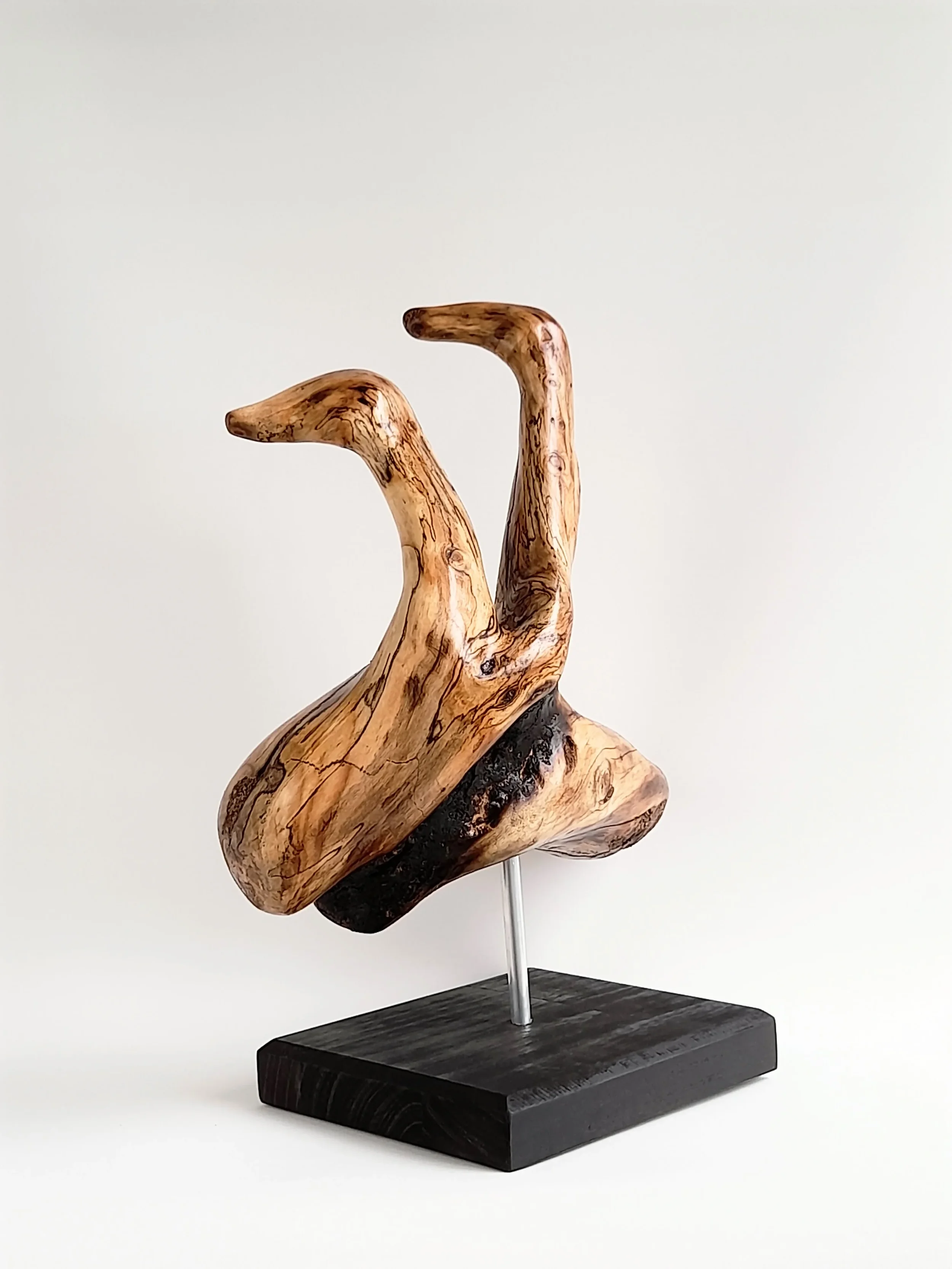 Abstract Golden Sassafras wood sculpture depicting birds surfing on dolphins on a black pedestal titled Pacific Riders.
