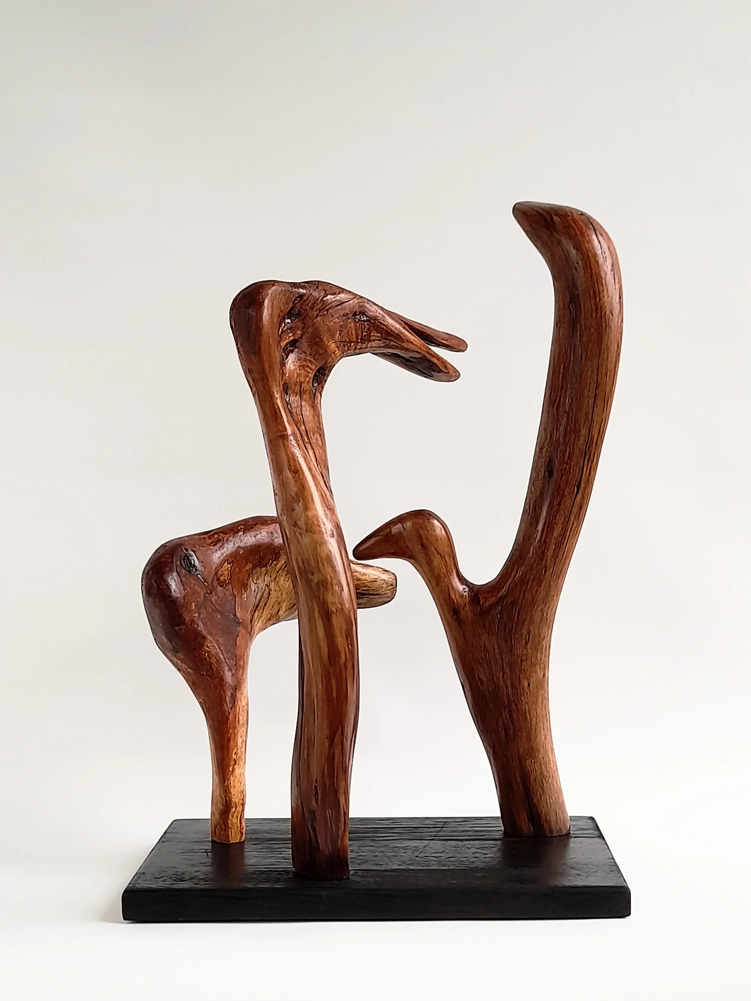 Group of three distinct hand-carved wood bird sculptures on a single black pedestal titled Harmonious Diversity.