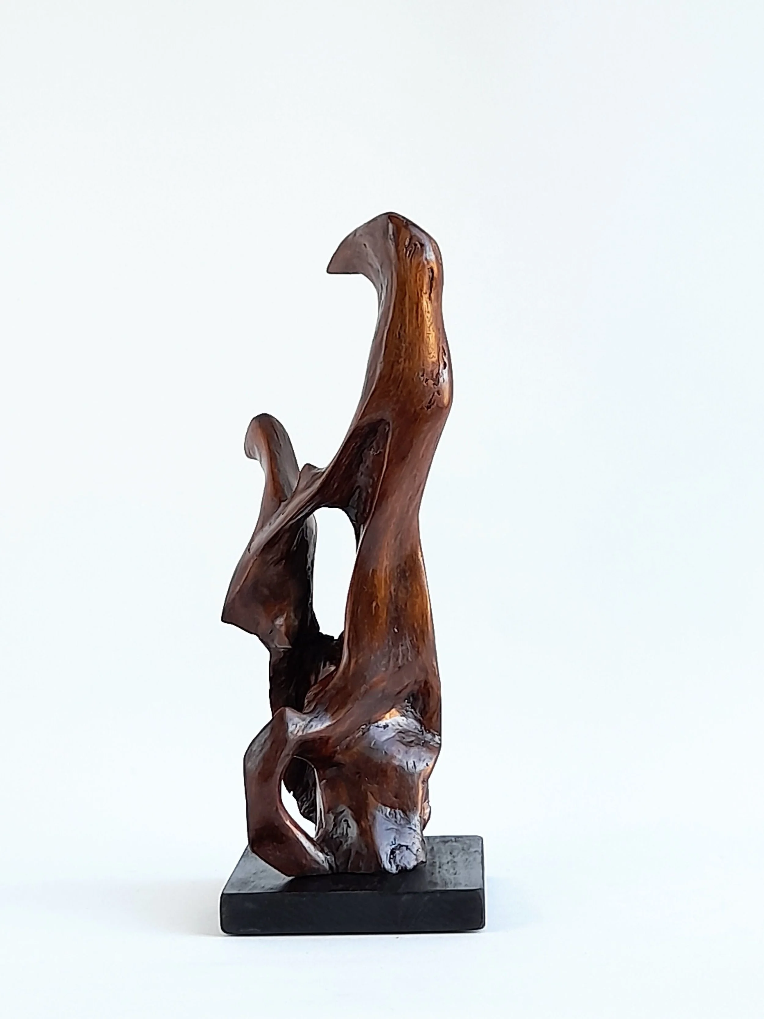 Expressive hand-carved timber sculpture titled Hold On, featuring interconnected organic forms and a strong, tactile grip in wood.