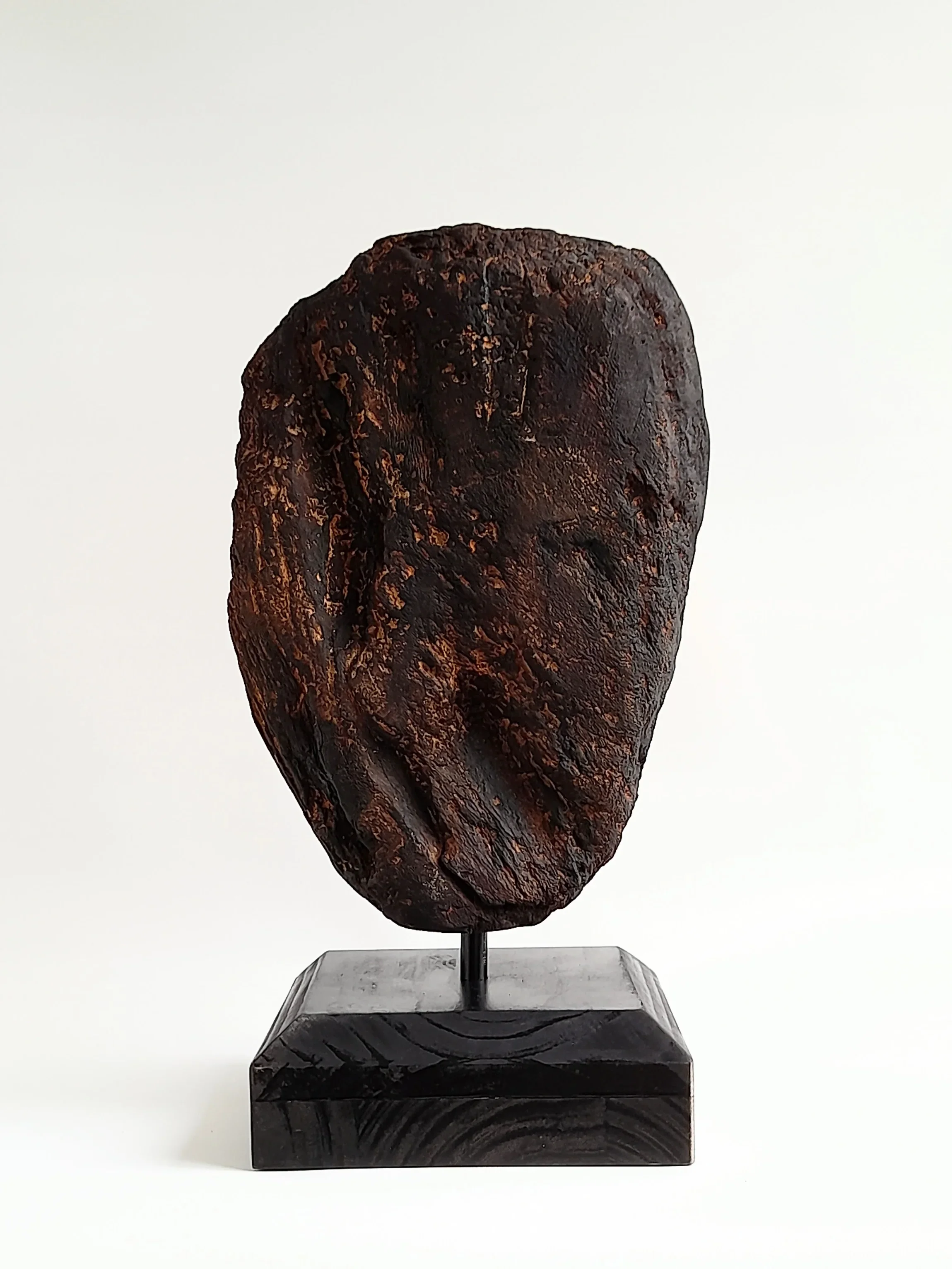 Hand-carved pale wooden face sculpture framed by charred dark timber rear view titled Beyond the Char.