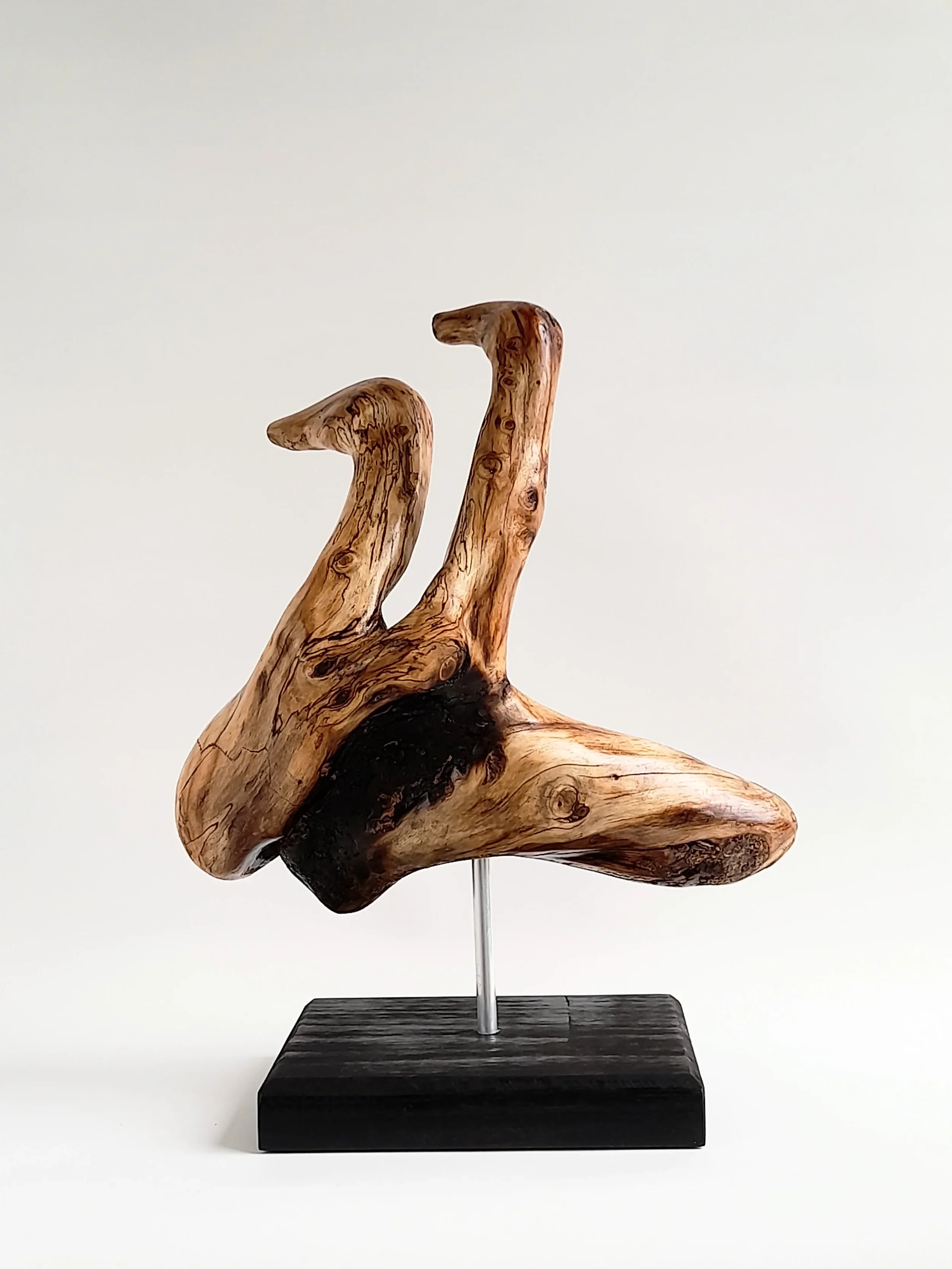 Abstract Golden Sassafras wood sculpture depicting birds surfing on dolphins on a black pedestal titled Pacific Riders.