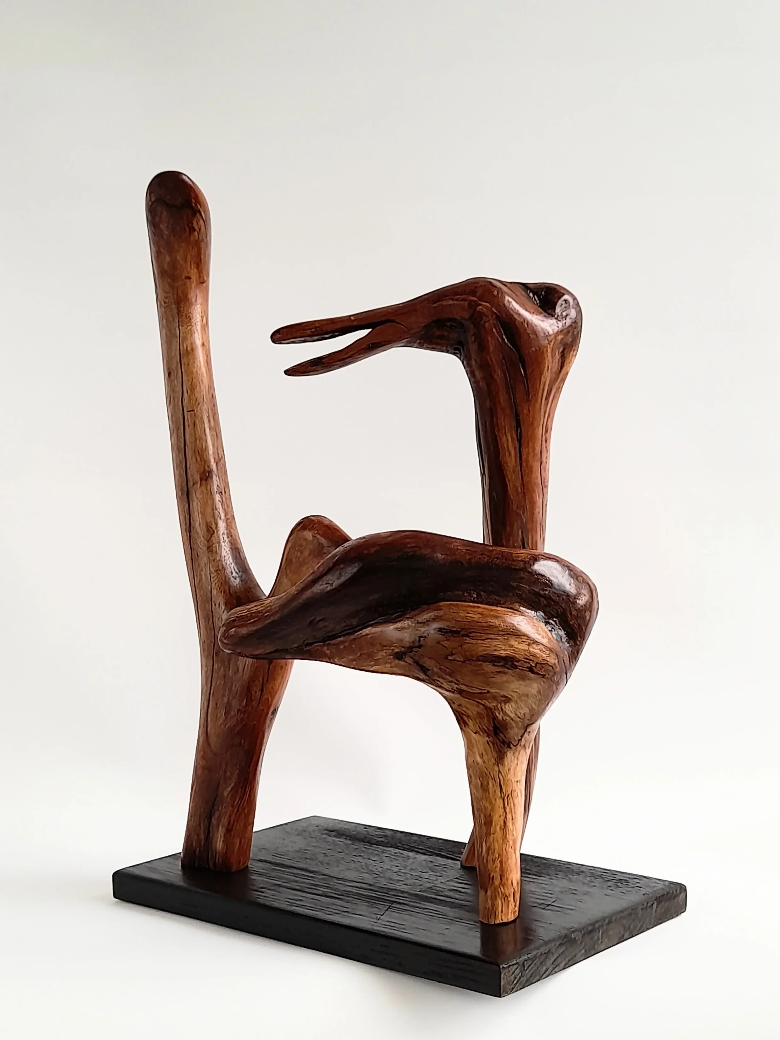 Group of three distinct hand-carved wood bird sculptures on a single black pedestal titled Harmonious Diversity.