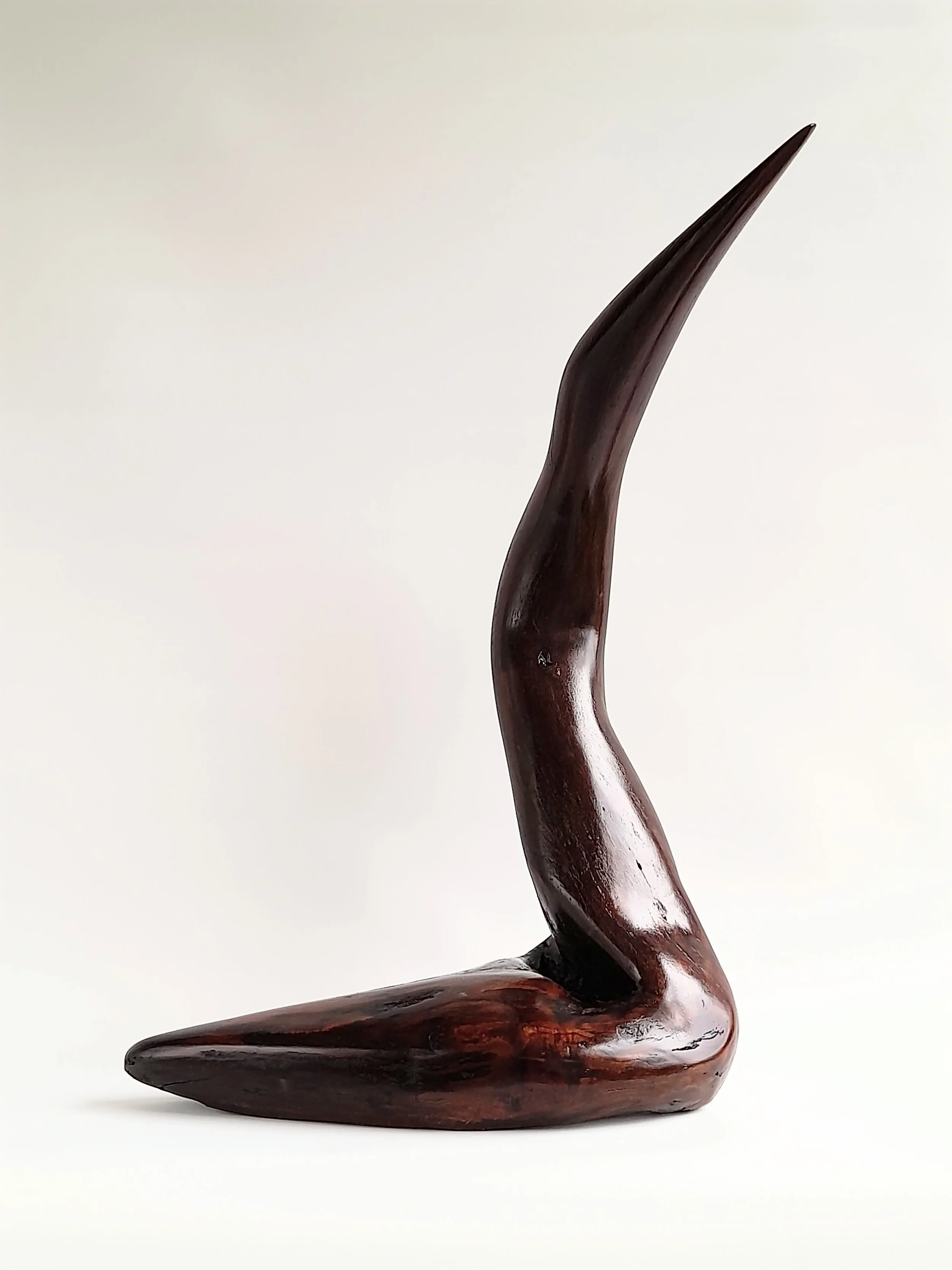 Large abstract hand-carved dark Australian Blackwood avian sculpture mimicking a South Coast pelican on a black pedestal titled Majestic Grace.