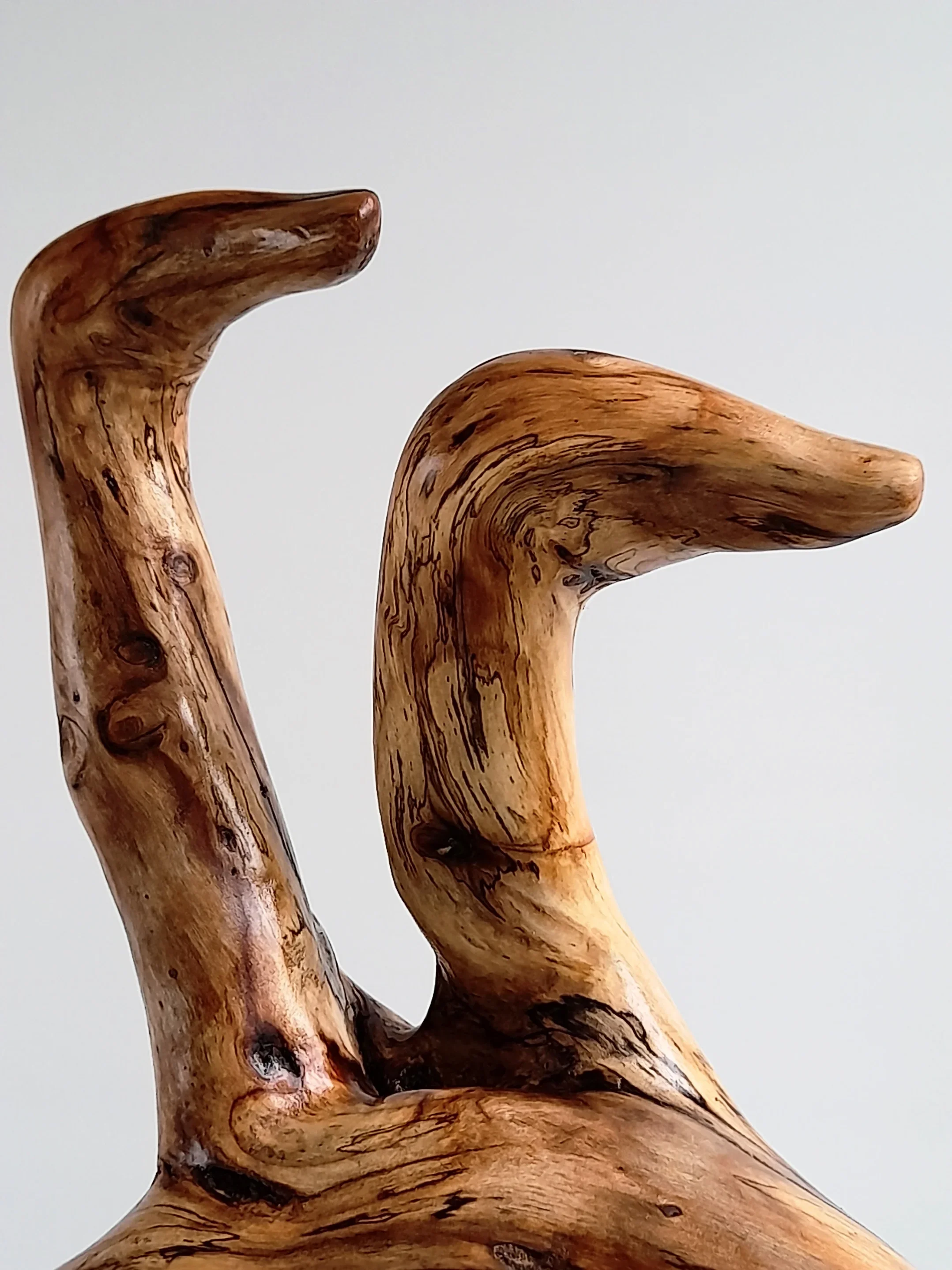 Close-Up of Abstract Golden Sassafras wood sculpture depicting birds surfing on dolphins on a black pedestal titled Pacific Riders.