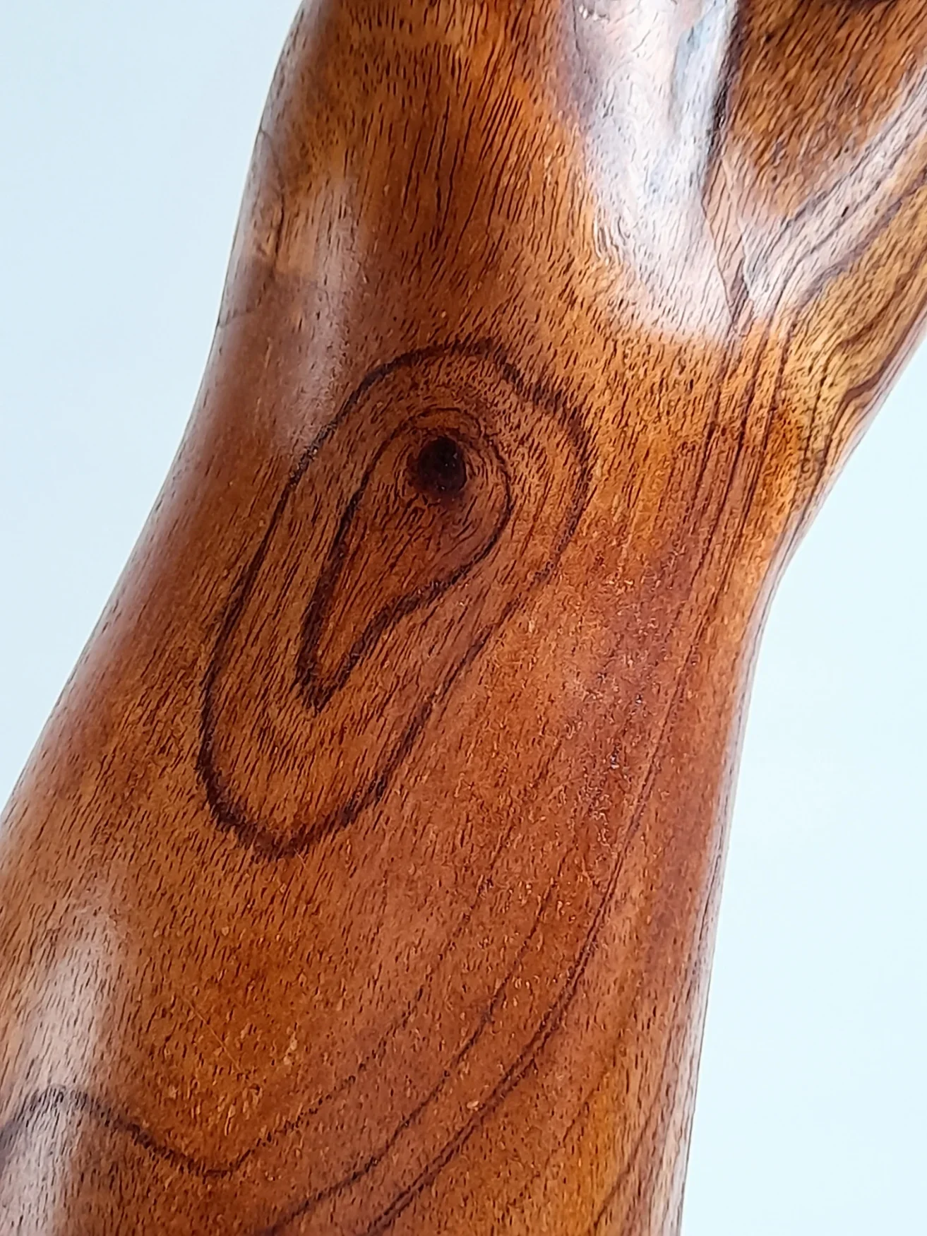 Close-up of fluid hand-carved Australian Red Cedar animal sculpture on a black pedestal titled Vigilant.
