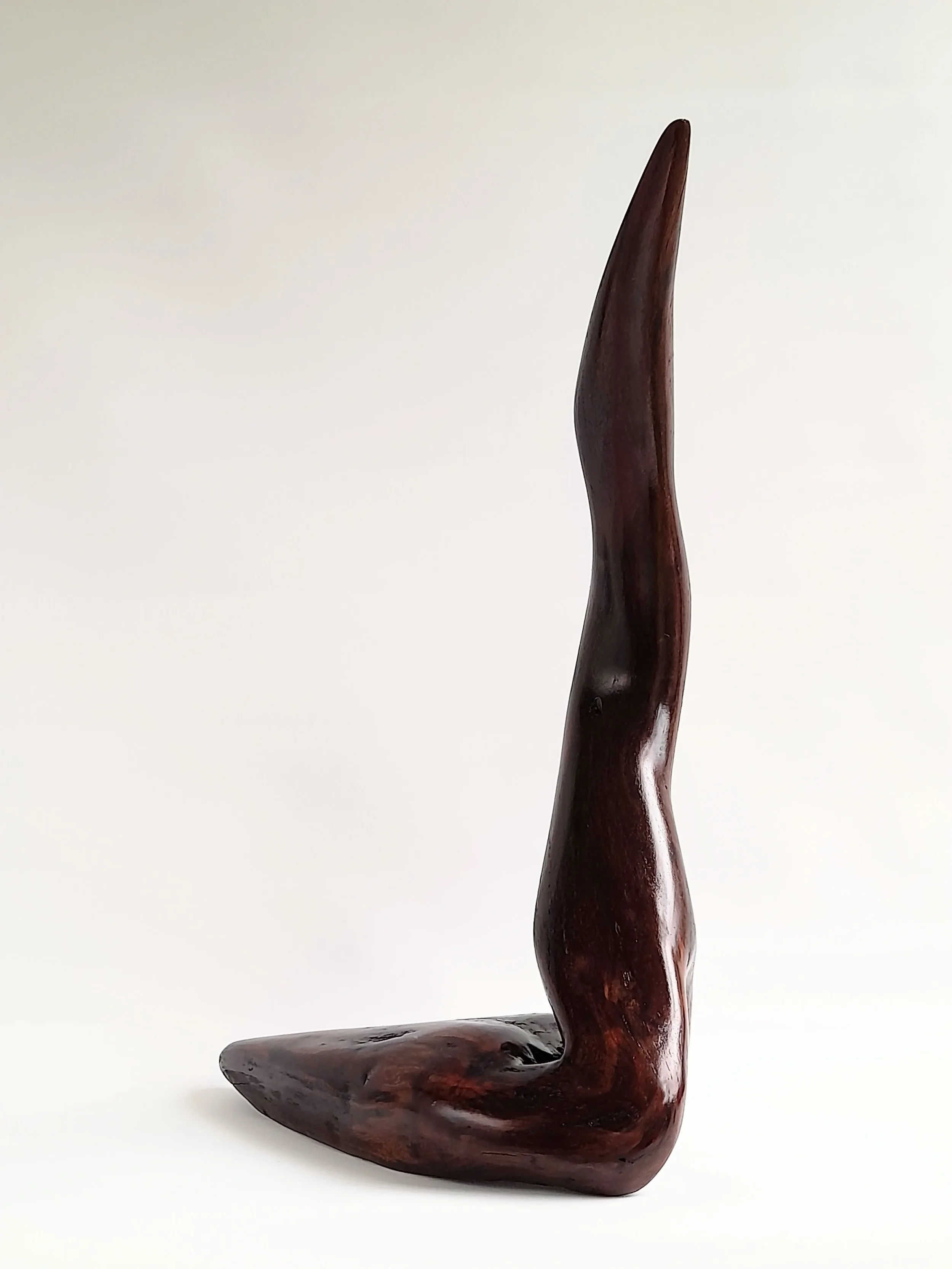 Large abstract hand-carved dark Australian Blackwood avian sculpture mimicking a South Coast pelican on a black pedestal titled Majestic Grace.