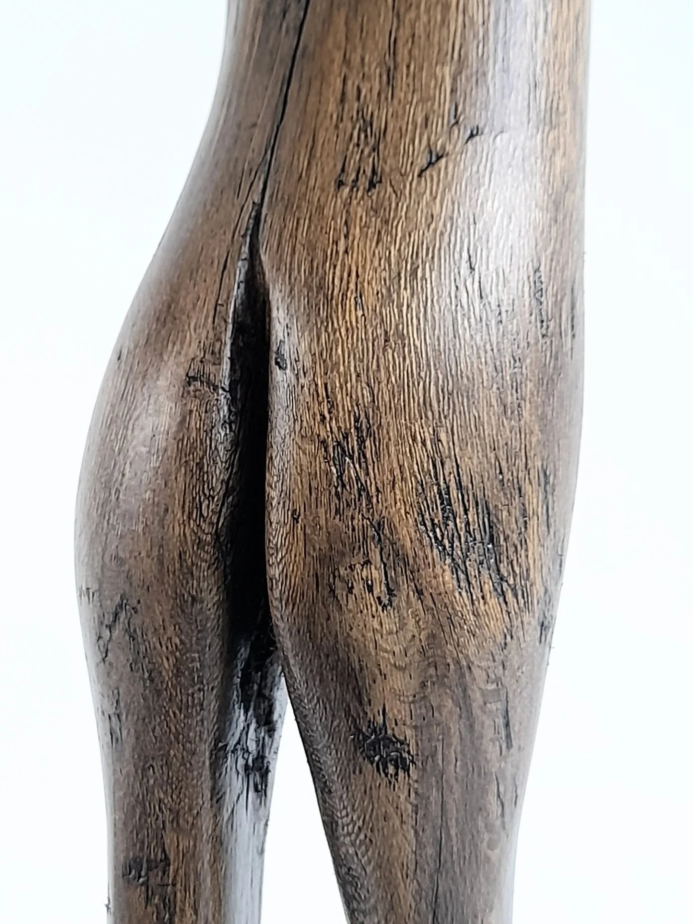 Close-up view of Strive sculpture showing the wing-like carved edges, smooth hand-finished contours, and natural Australian timber grain.