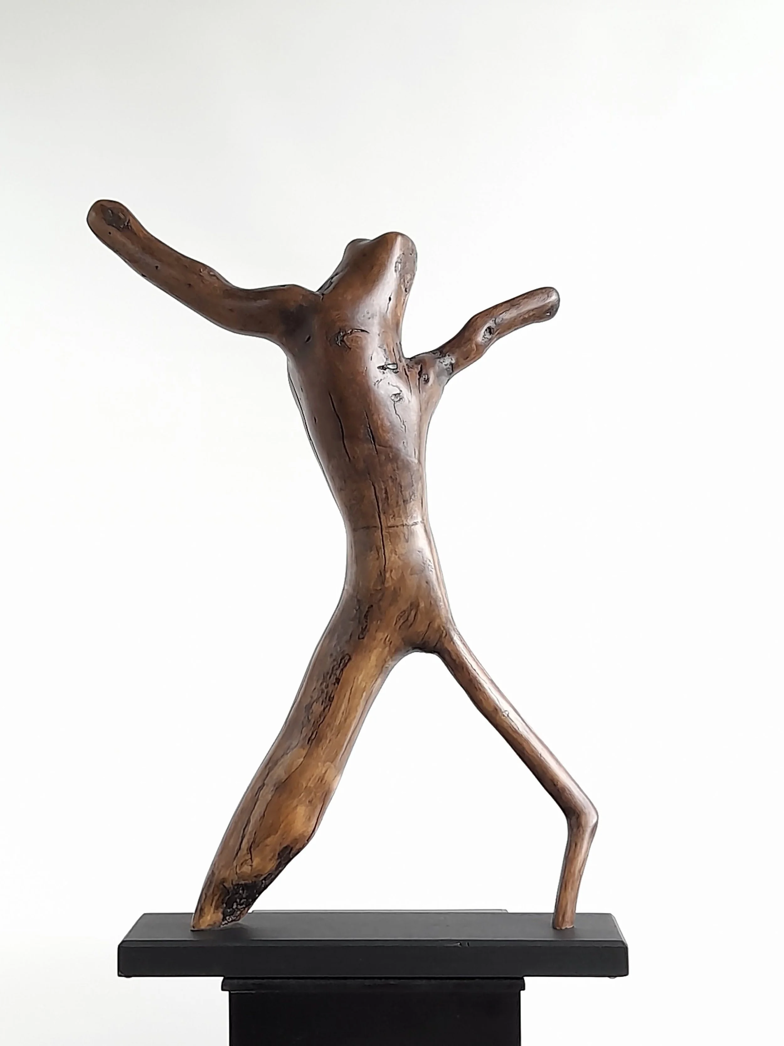 Hand-carved wooden sculpture titled Alien Dancer by Ole Jensen, featuring dynamic fluid limbs on a dark display base.