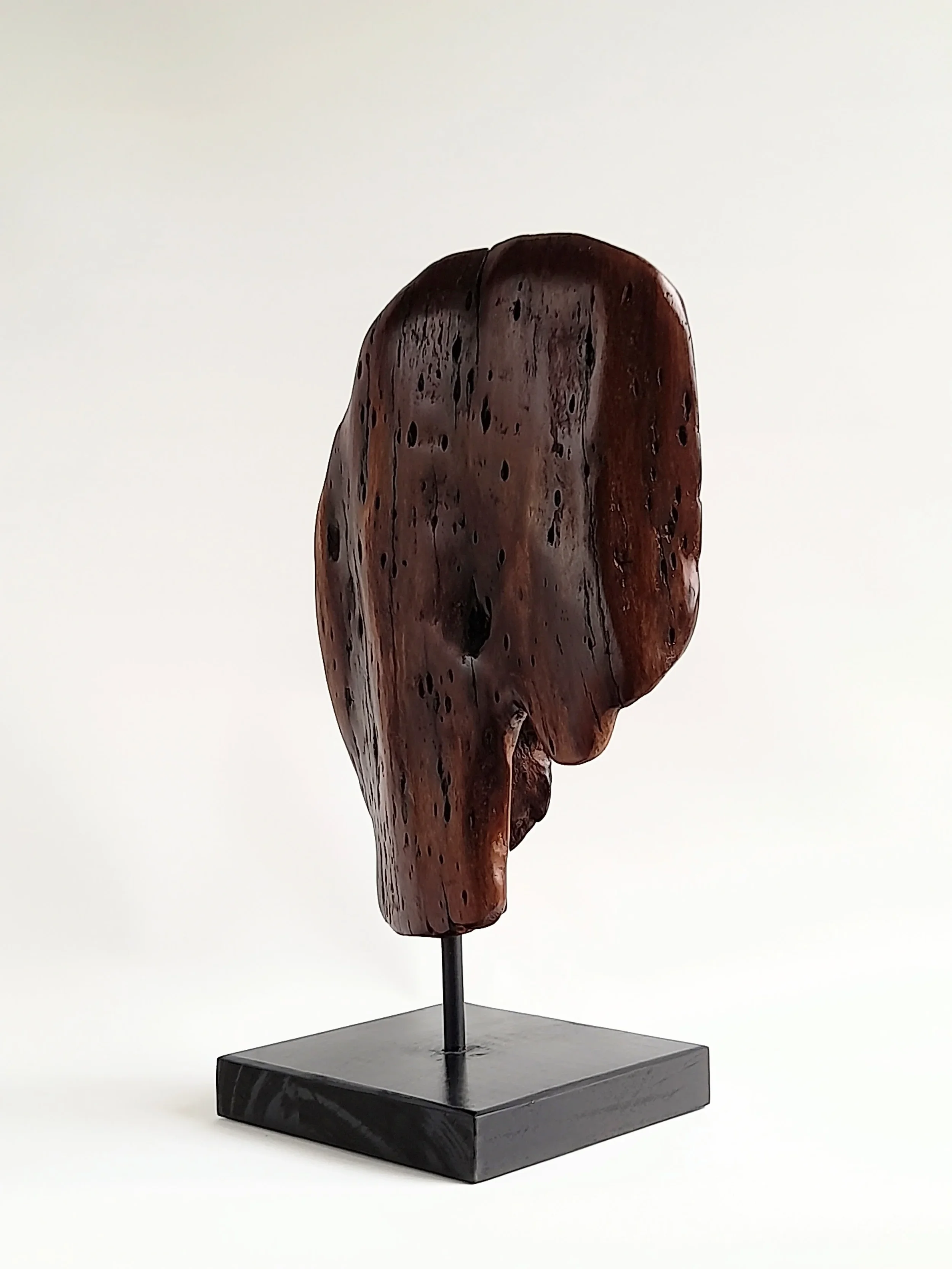 Dual-sided hand-carved dark Brushbox wood head sculpture with natural weathered details on a black stand titled Weathered Soul.