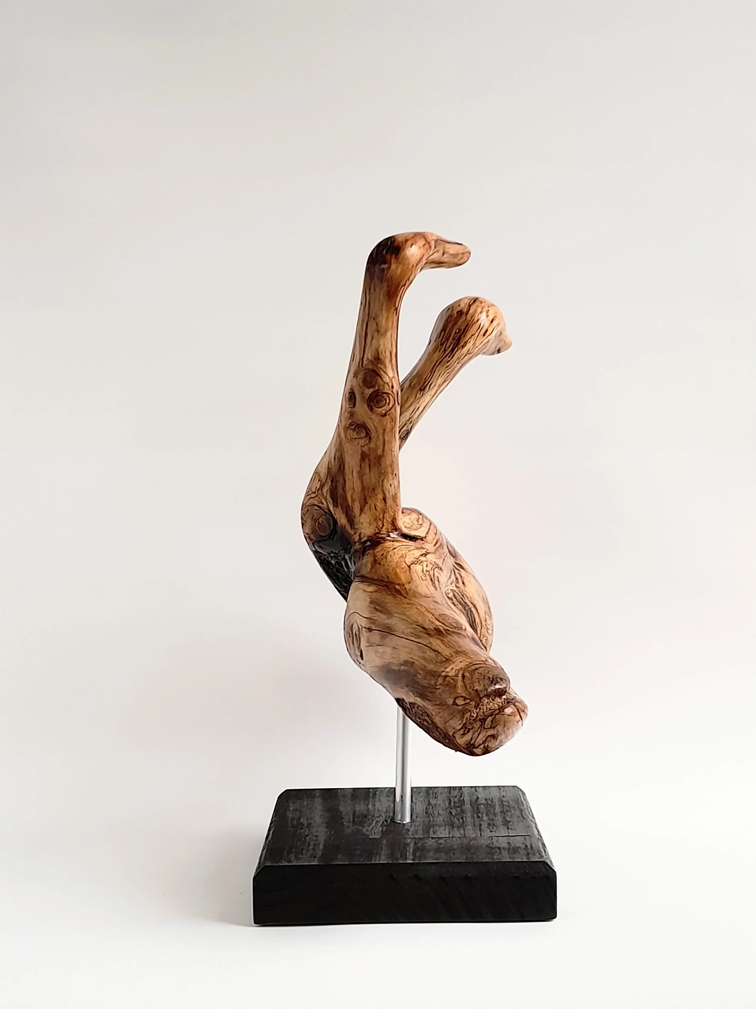 Abstract Golden Sassafras wood sculpture depicting birds surfing on dolphins on a black pedestal titled Pacific Riders.