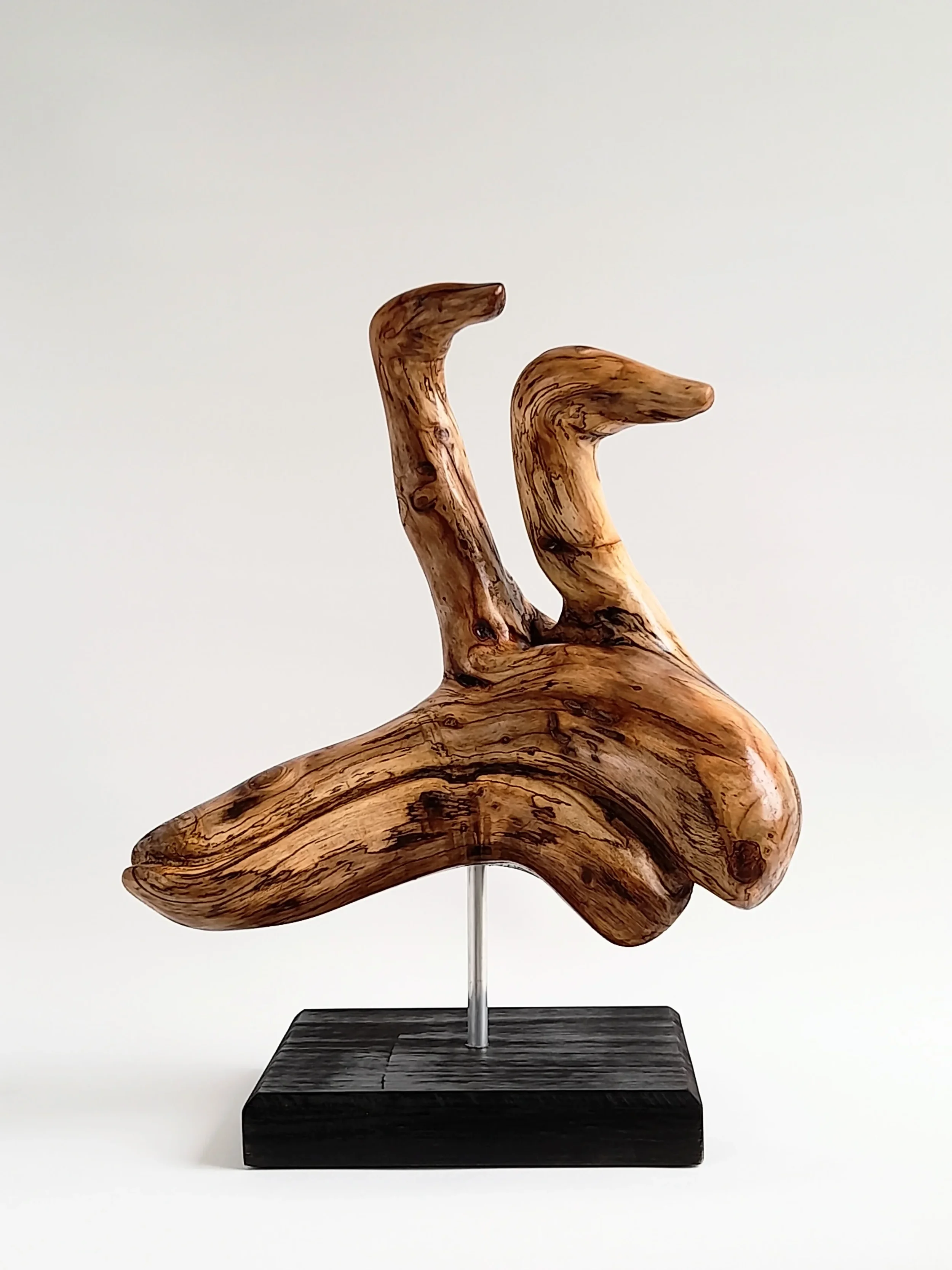 Abstract Golden Sassafras wood sculpture depicting birds surfing on dolphins on a black pedestal titled Pacific Riders.