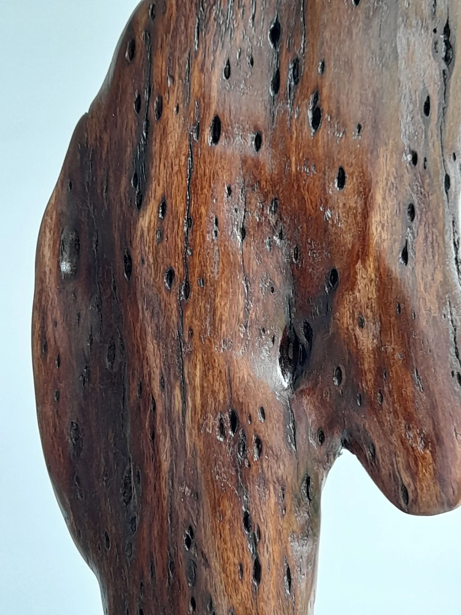Close-up of dual-sided hand-carved dark Brushbox wood head sculpture with natural weathered details on a black stand titled Weathered Soul.