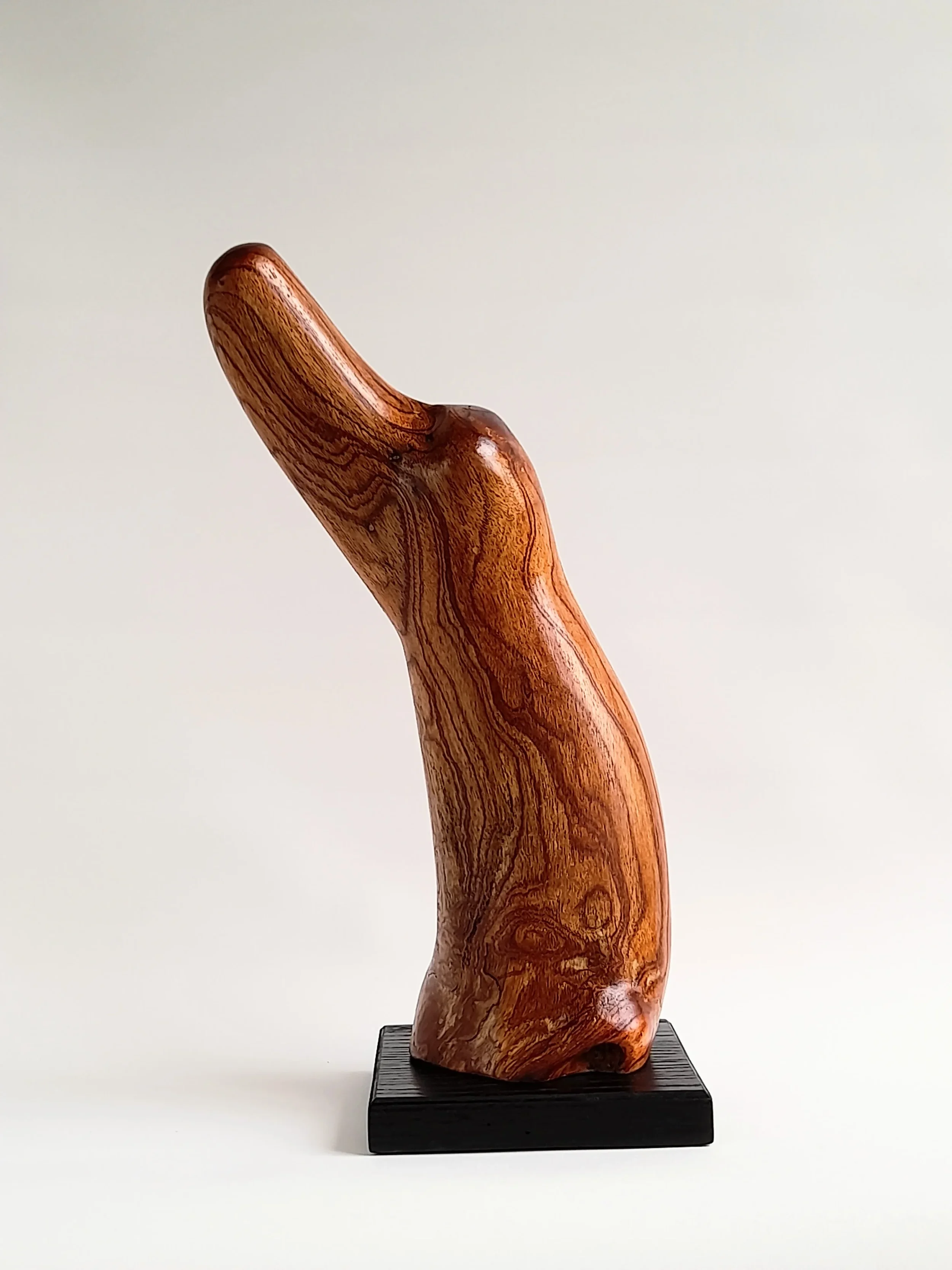 Fluid hand-carved Australian Red Cedar animal sculpture on a black pedestal titled Vigilant.