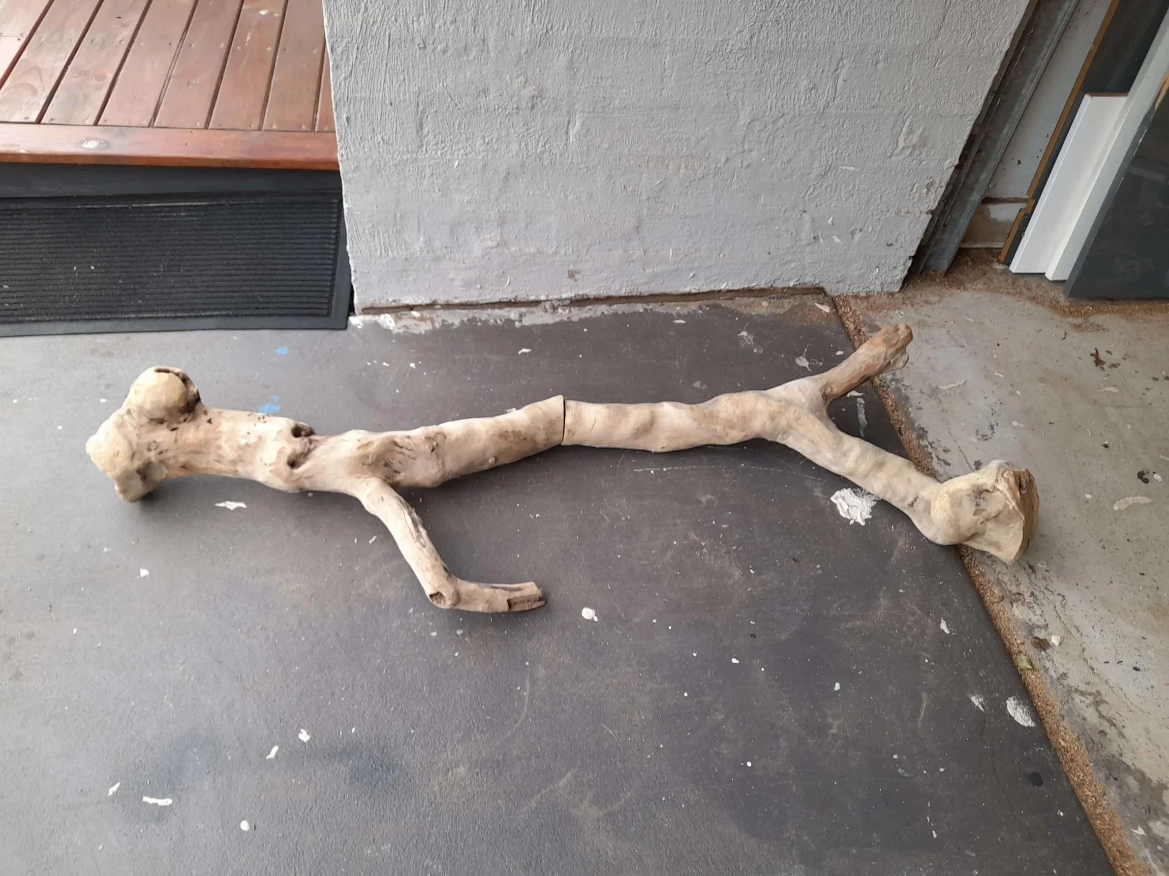 A long salvaged native timber log lying on concrete before carving.