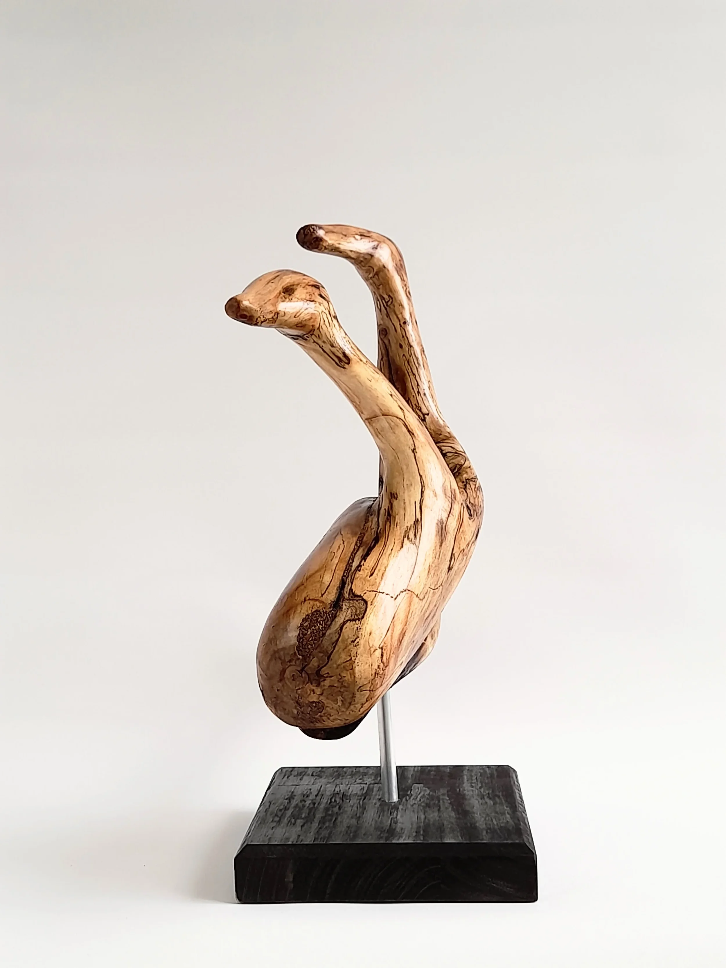 Abstract Golden Sassafras wood sculpture depicting birds surfing on dolphins on a black pedestal titled Pacific Riders.