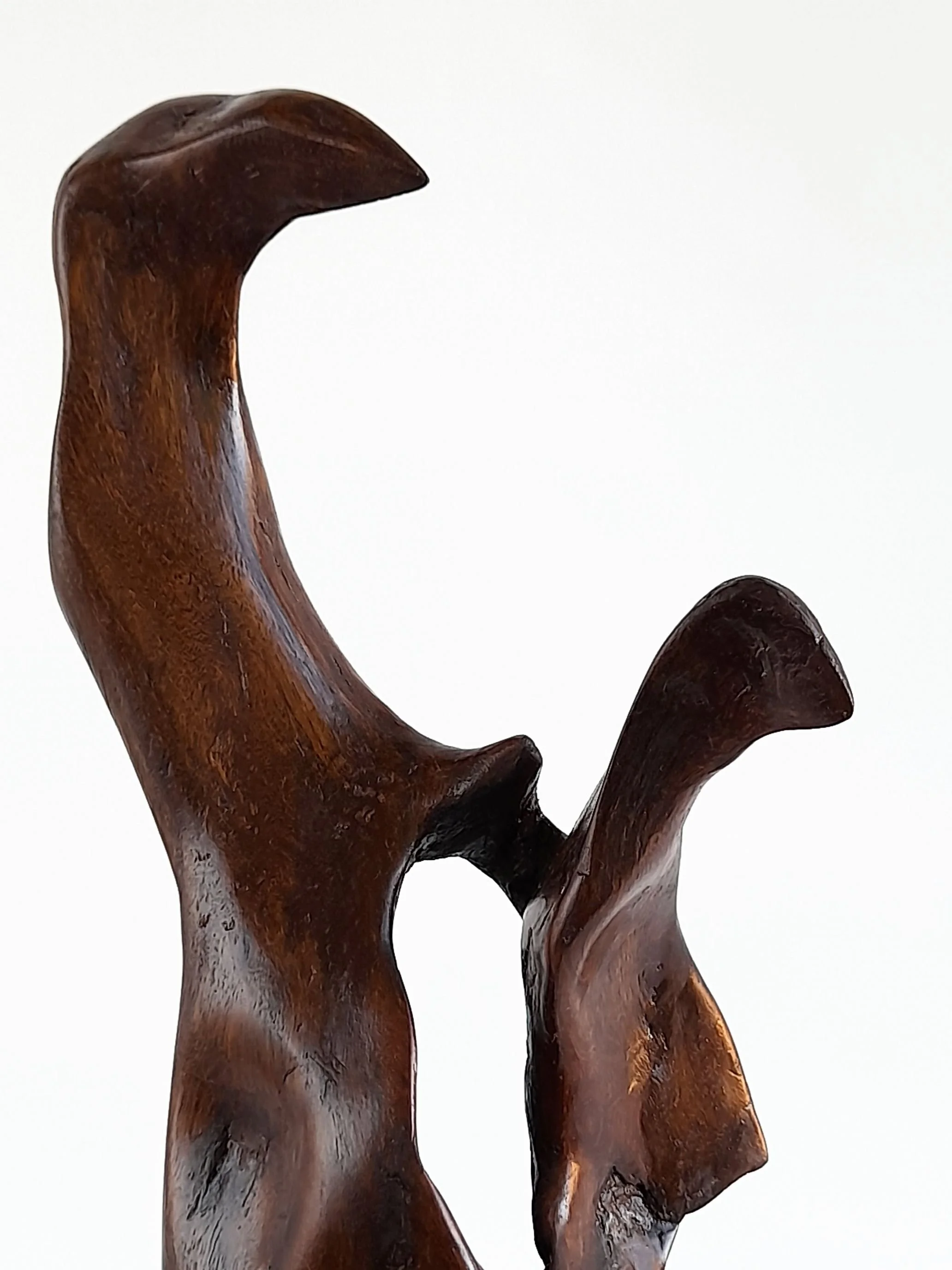 Close-up view of Hold On sculpture highlighting the tight carved contours, smooth hand-finished edges, and rich natural wood grain.